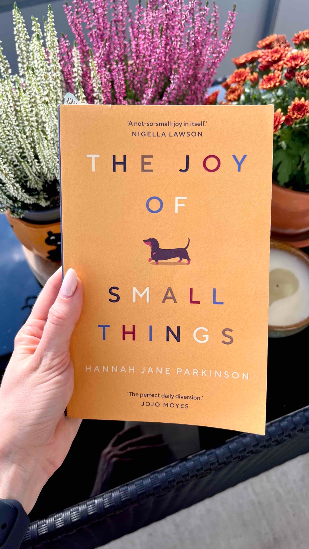 a love letter to those little moments of bliss that get us through the daily grind 🌍🌻🛤️💫✨