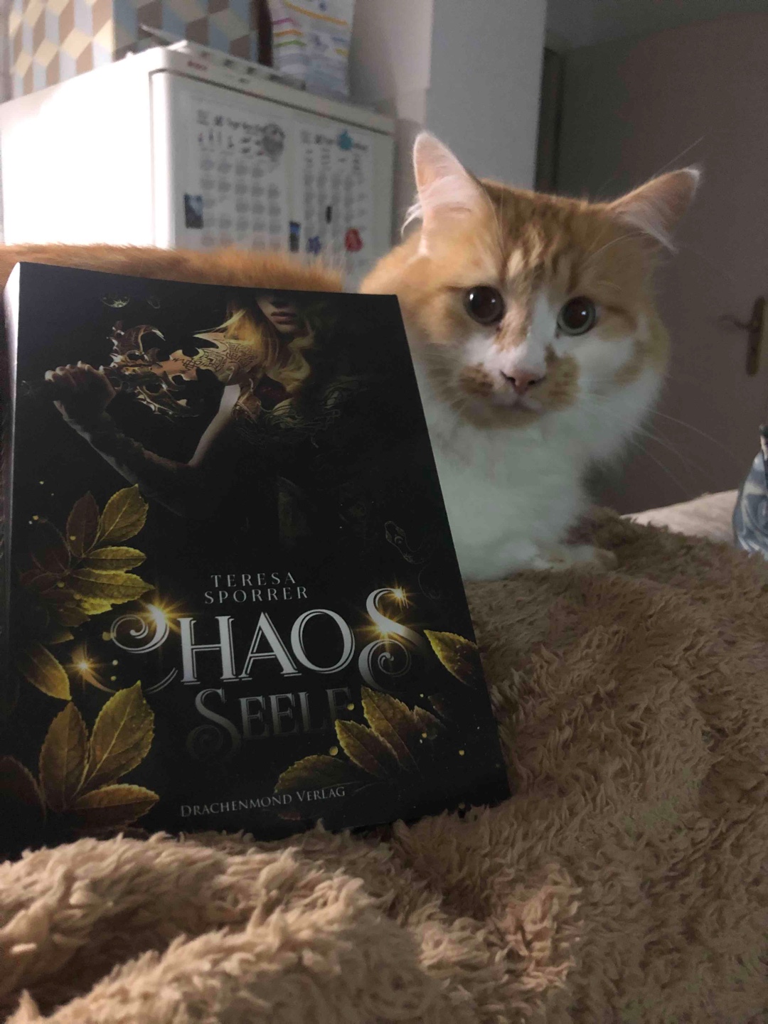 Anubis mein neuer Liebling