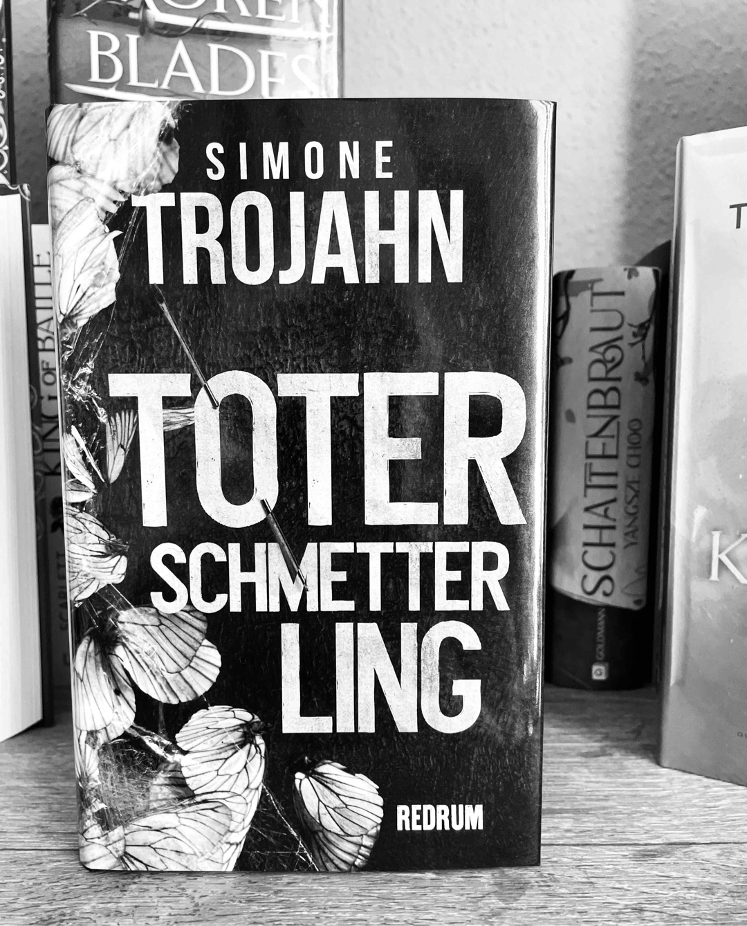 Spannungsgeladener Psychothriller