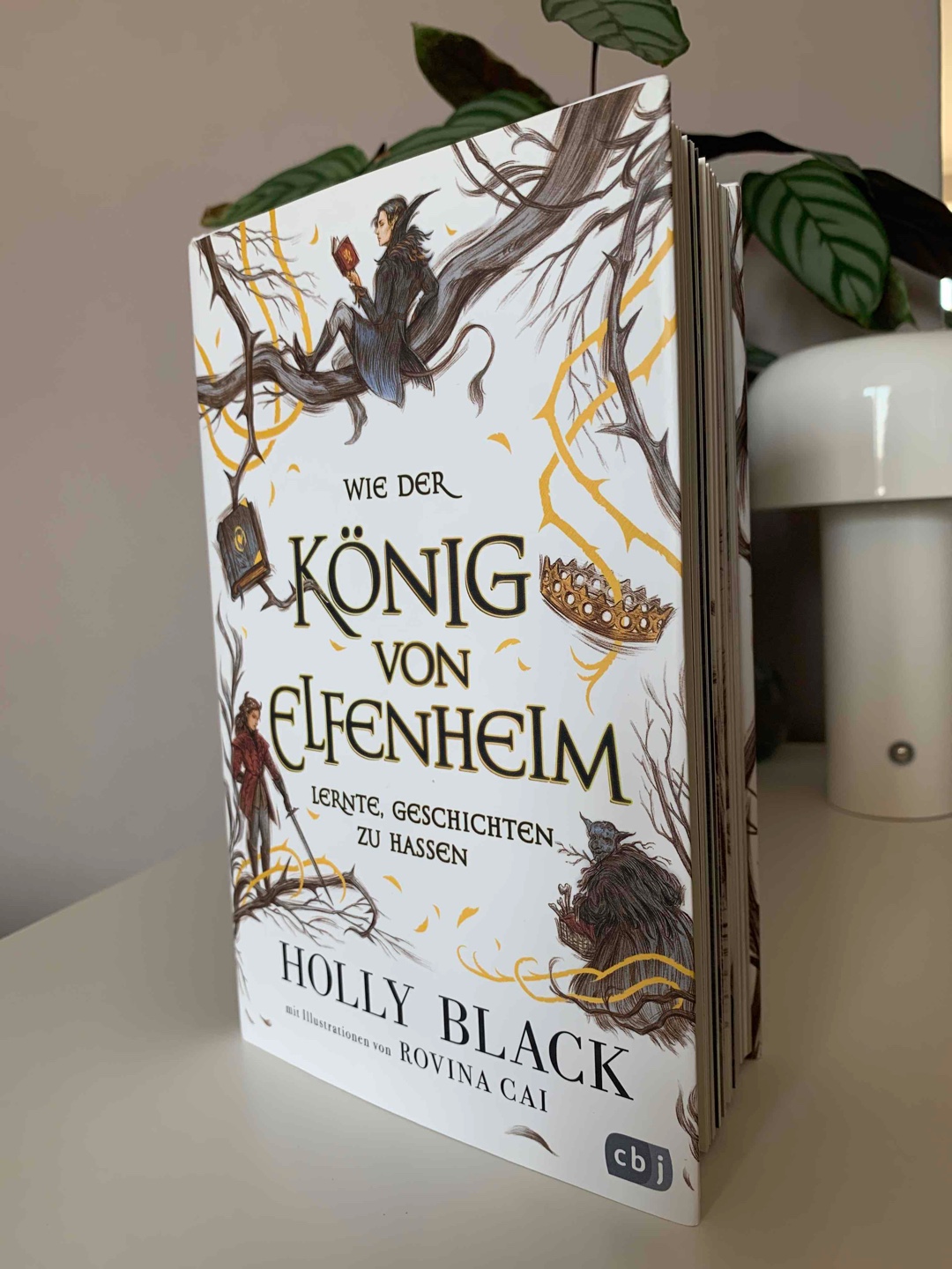 Es hat mir soo gut gefallen 🤩
Man erfährt einiges zu Cardans Vergangenheit, es ist aber auch eine kleine Fortsetzung der Geschichte enthalten.
Die Illustrationen sind sehr schön und ich empfehle das Buch unbedingt nach der Elfenkronen Reihe zu lesen 😊