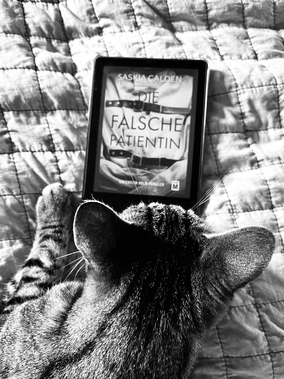 Leute… die Holmes haut wieder rein 🕵🏻♀️
