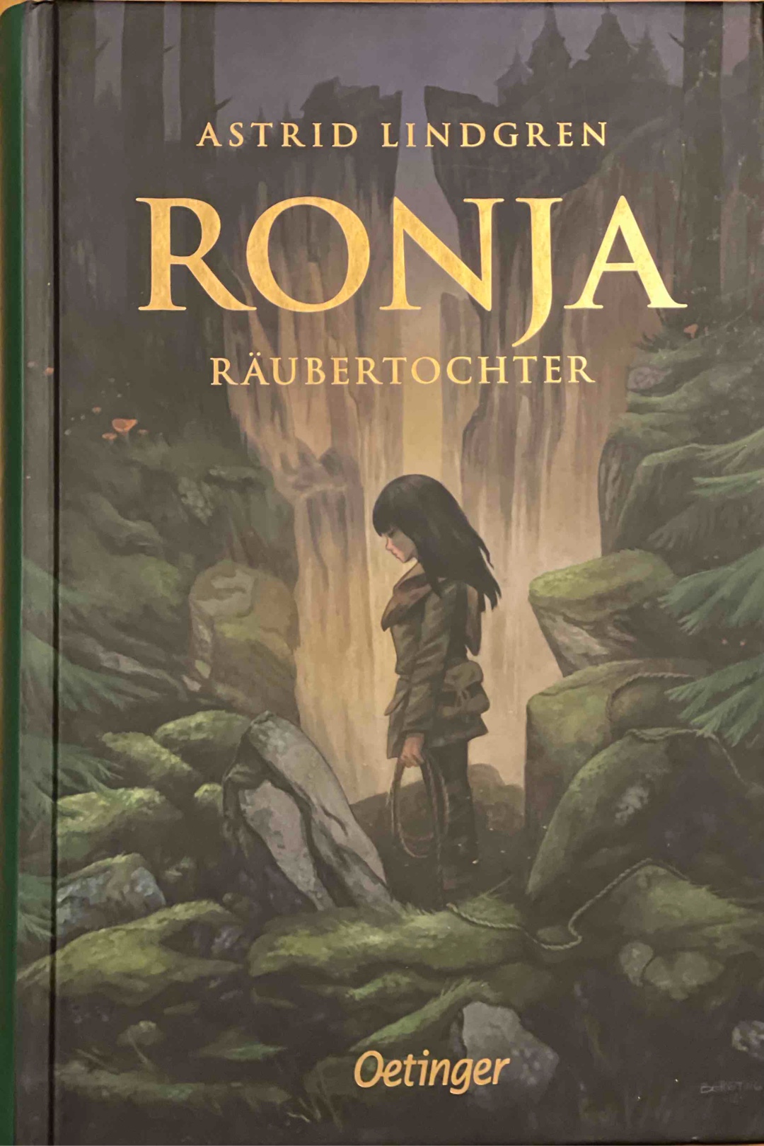 Ein wunderschönes Kinderbuch
