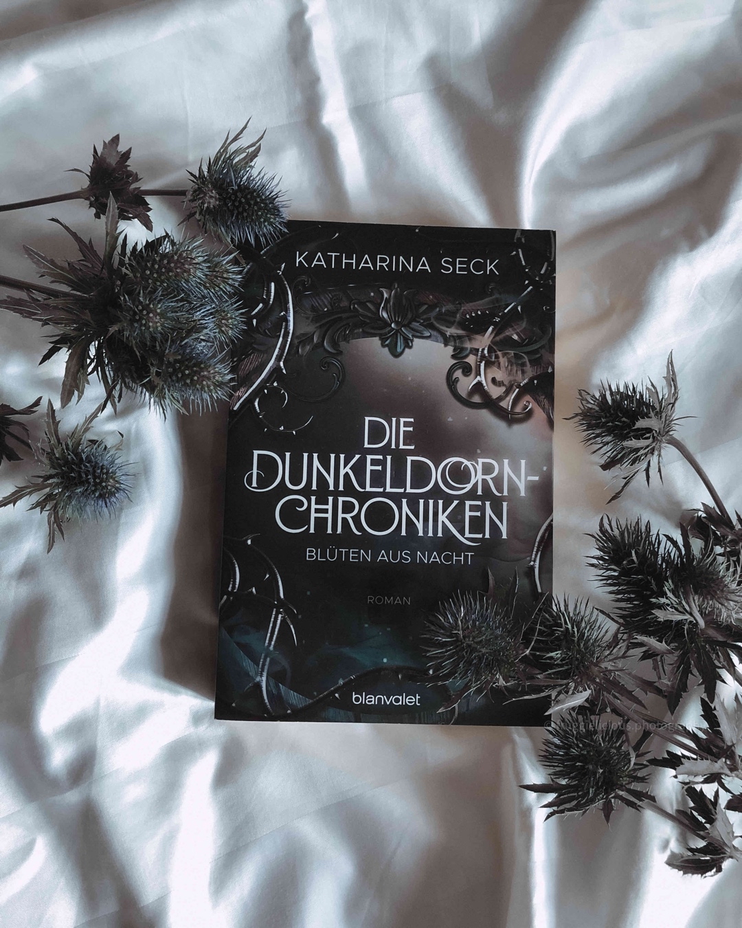 🍁🤎❤️🔥Buch 1 für Fantasy Fall ❤️🔥🤎🍁: Habe alles daran geliebt! Empfehlung! Band 1/3 🥹