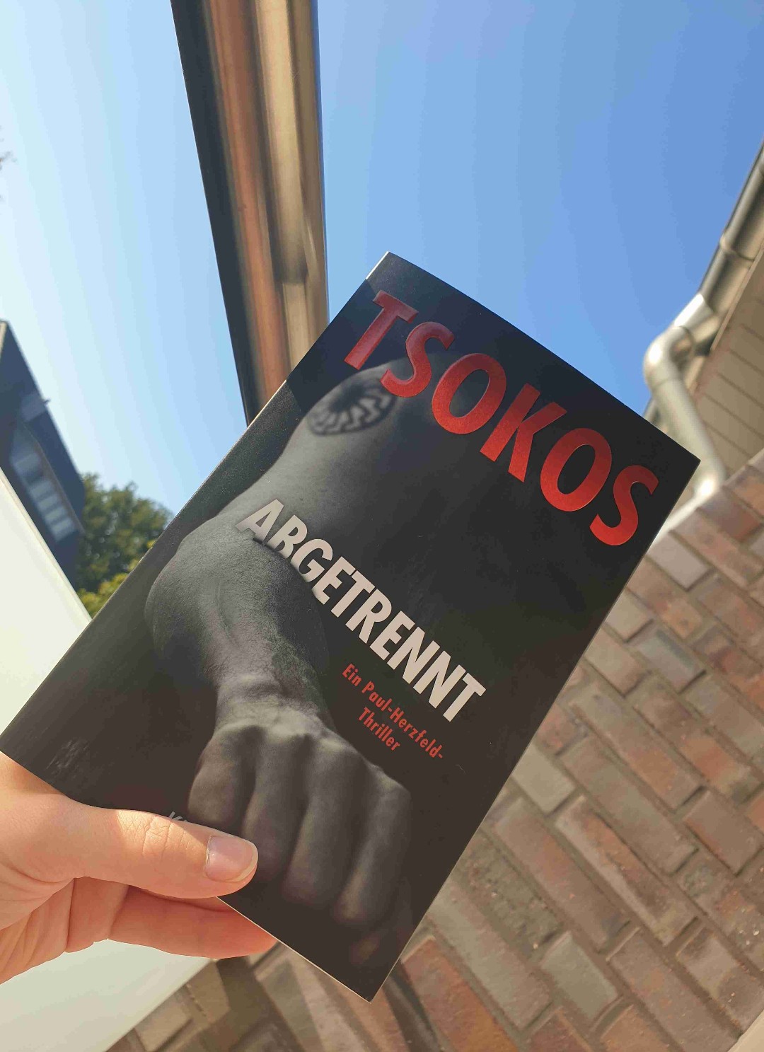 Angenehmer Thriller, interessant, spannend..