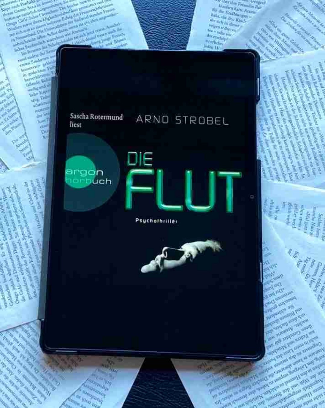 Ein spannender Thriller aber mit unsympathischen Protagonisten 