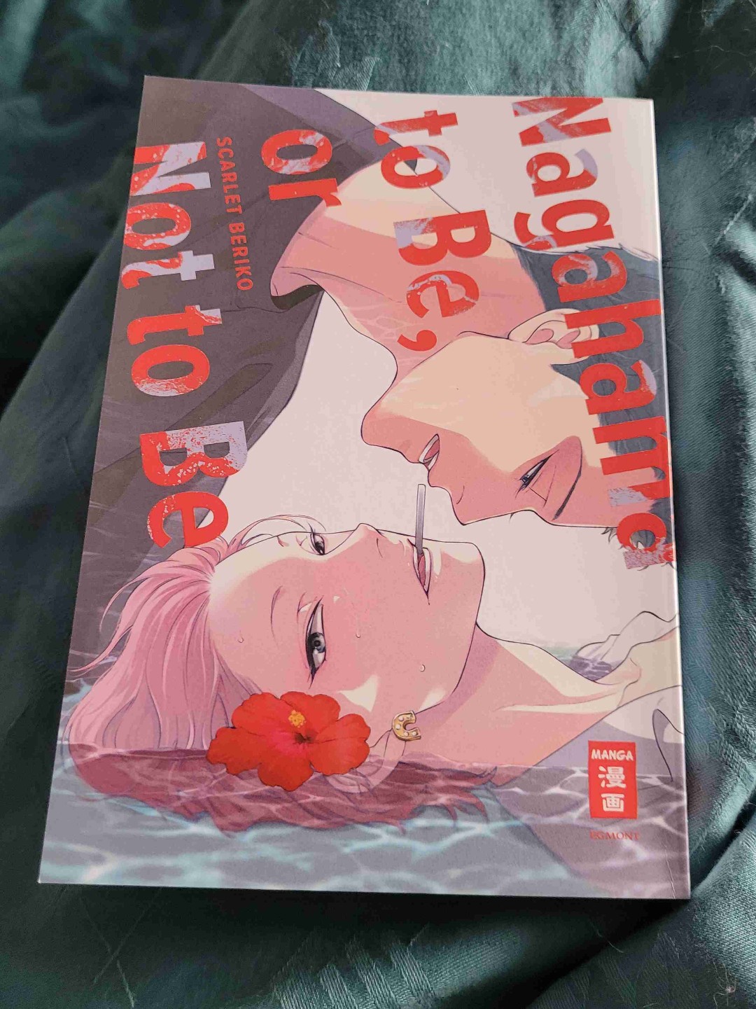 Für mich einer der schwächsten Manga von Scarlet Beriko 