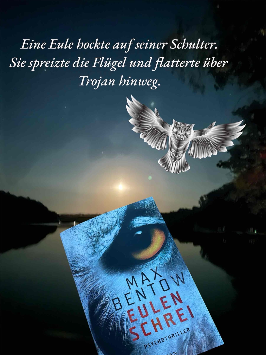 Ein stimmig, dynamisch und spannend erzählten Thriller, der in sich geschlossen ist.