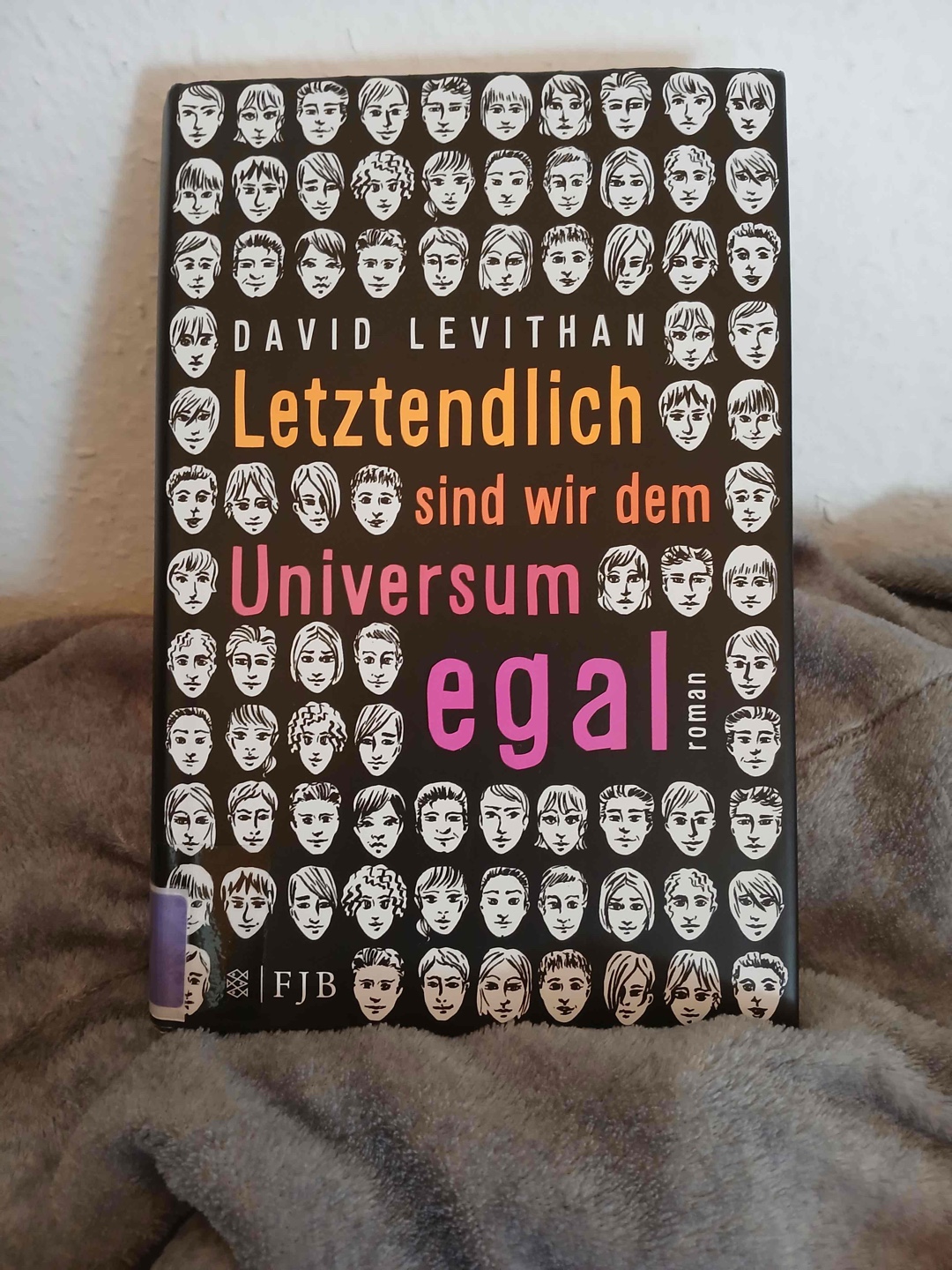 Normalerweise kommt hier ja ein Zitat oder so, nur hier… Es gab zwar ganz nette Phrasen, doch hinter den meisten stehe ich nicht komplett dahinter.
Zusätzlich kommt auch noch meine Wut auf dieses Buch hinzu - die nach drei Wochen nach Beenden nicht verebben möchte.