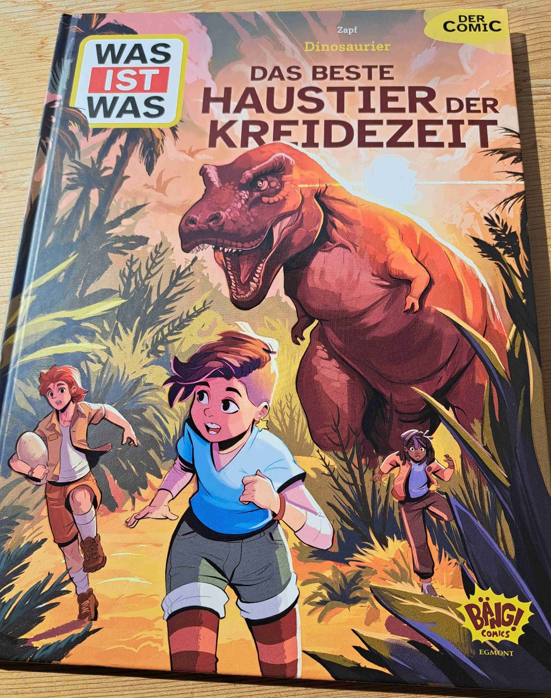 Coole Mischung aus Comic und Wissensbuch