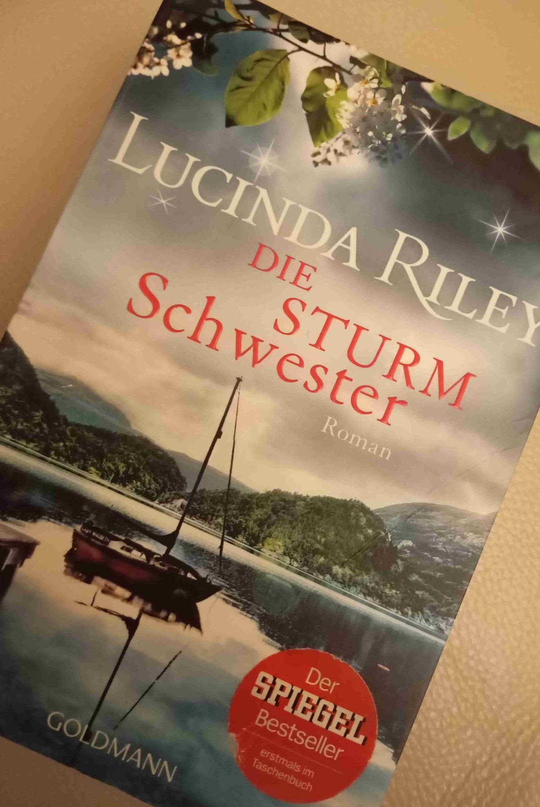 Die Sturmschwester