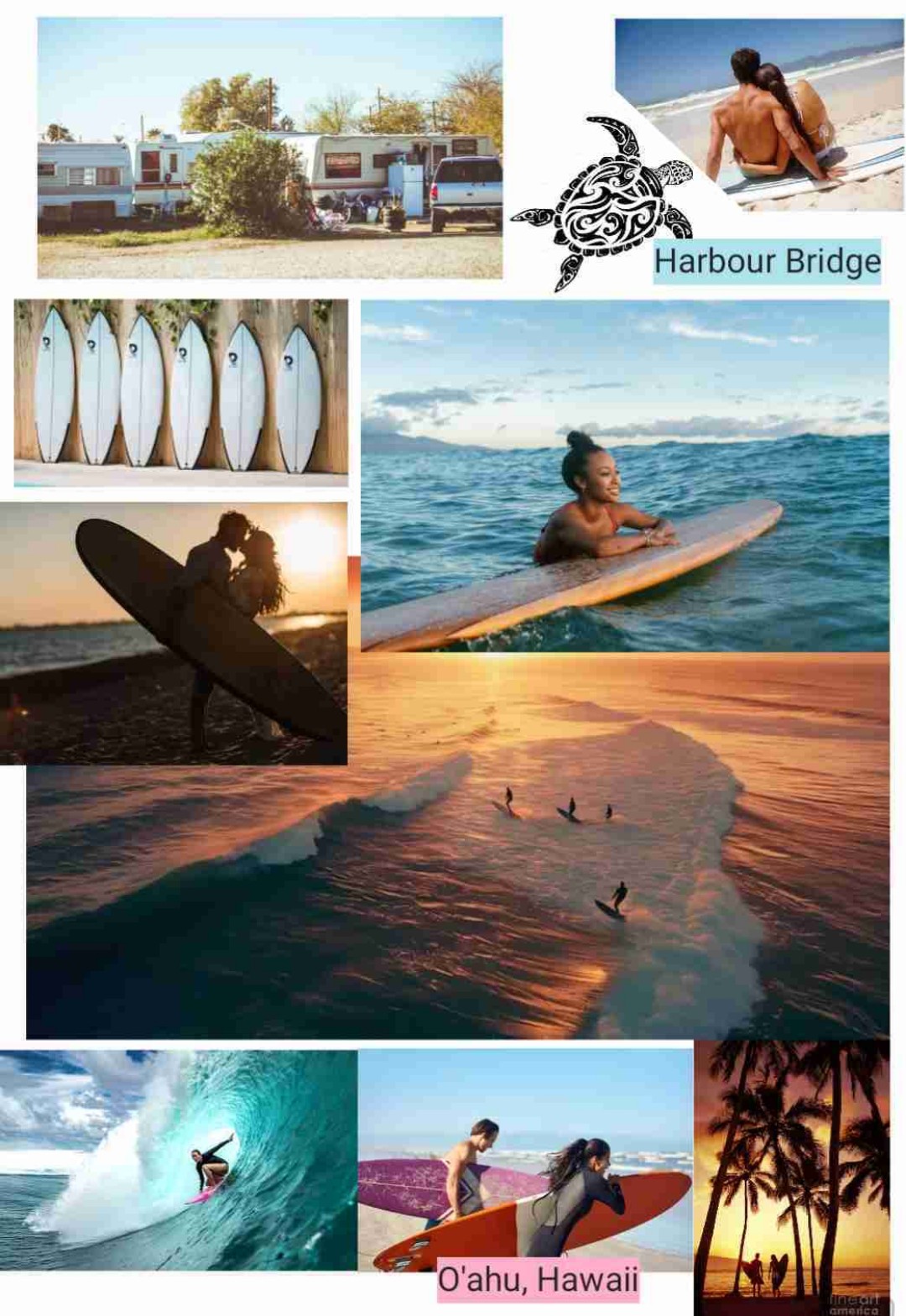 Die finale Reunion 🌅🏝🌊🇧🇸🥥🌴🏄🏽♀️ 🦈
