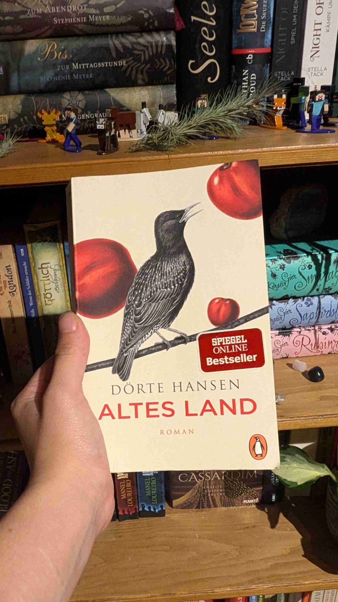 Leider kein Highlight aber auch nicht schlecht