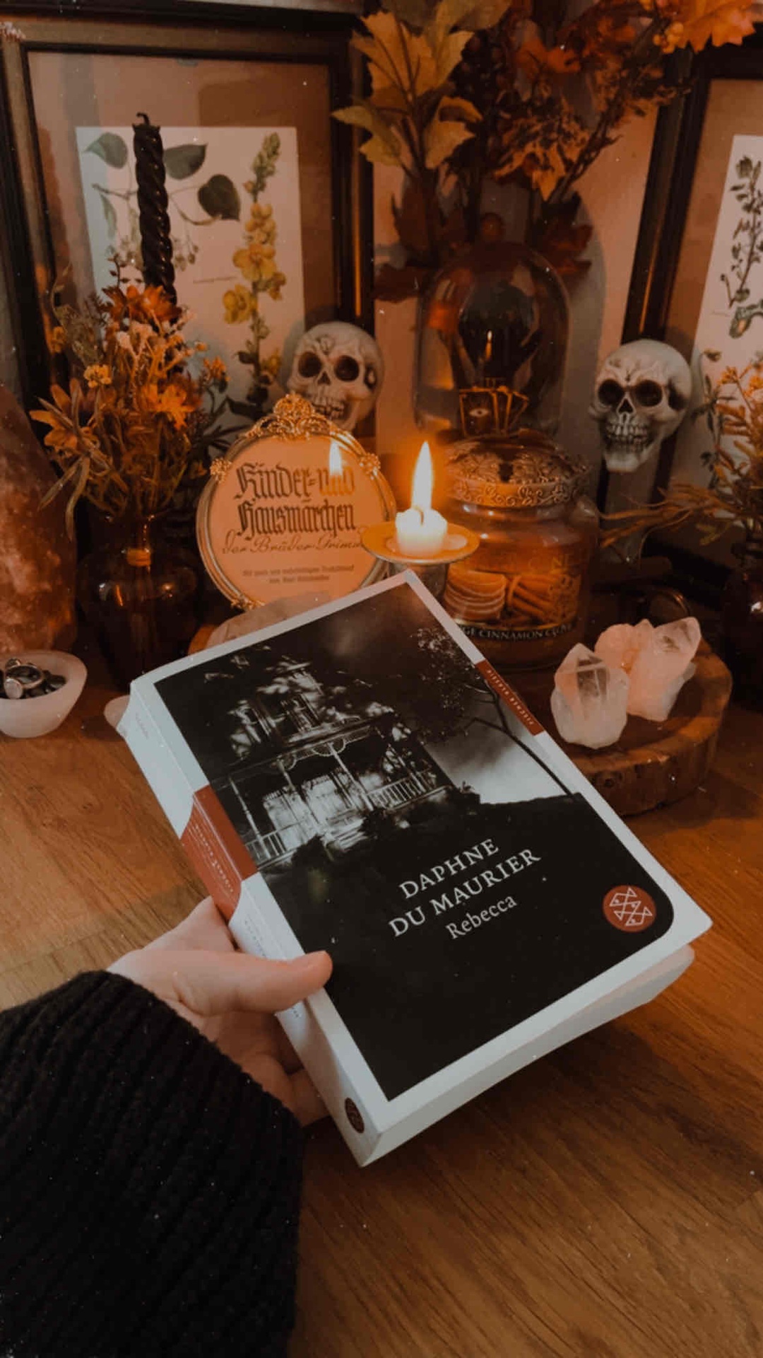 Ich liebe dieses Buch. Es ist sehr elegant, stilvoll und eindringlich geschrieben. Ihre Liebe zu Kunst, Architektur und Botanik ist sehr deutlich rauszulesen. Einer meiner liebsten Klassiker 🖤