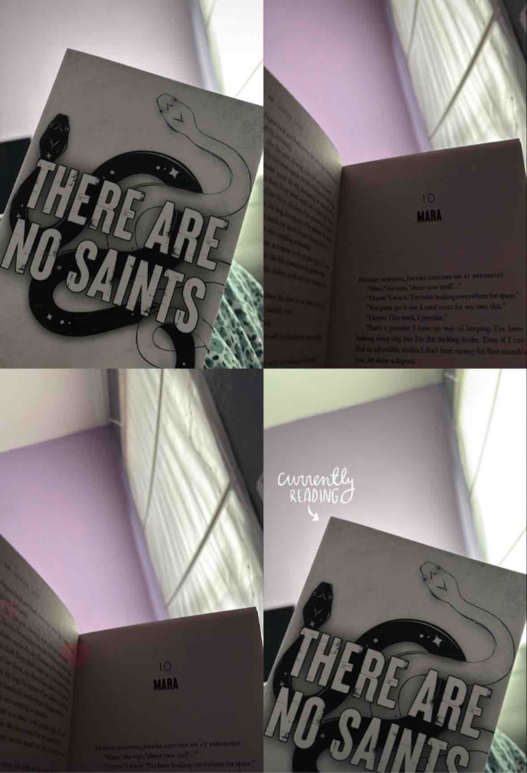 Für die die in die Dark Romance Welt einsteigen wollen ist es ein guter Einstieg. Ist nicht zu dark und der spice ist tatsächlich angenehm zu lesen.😌