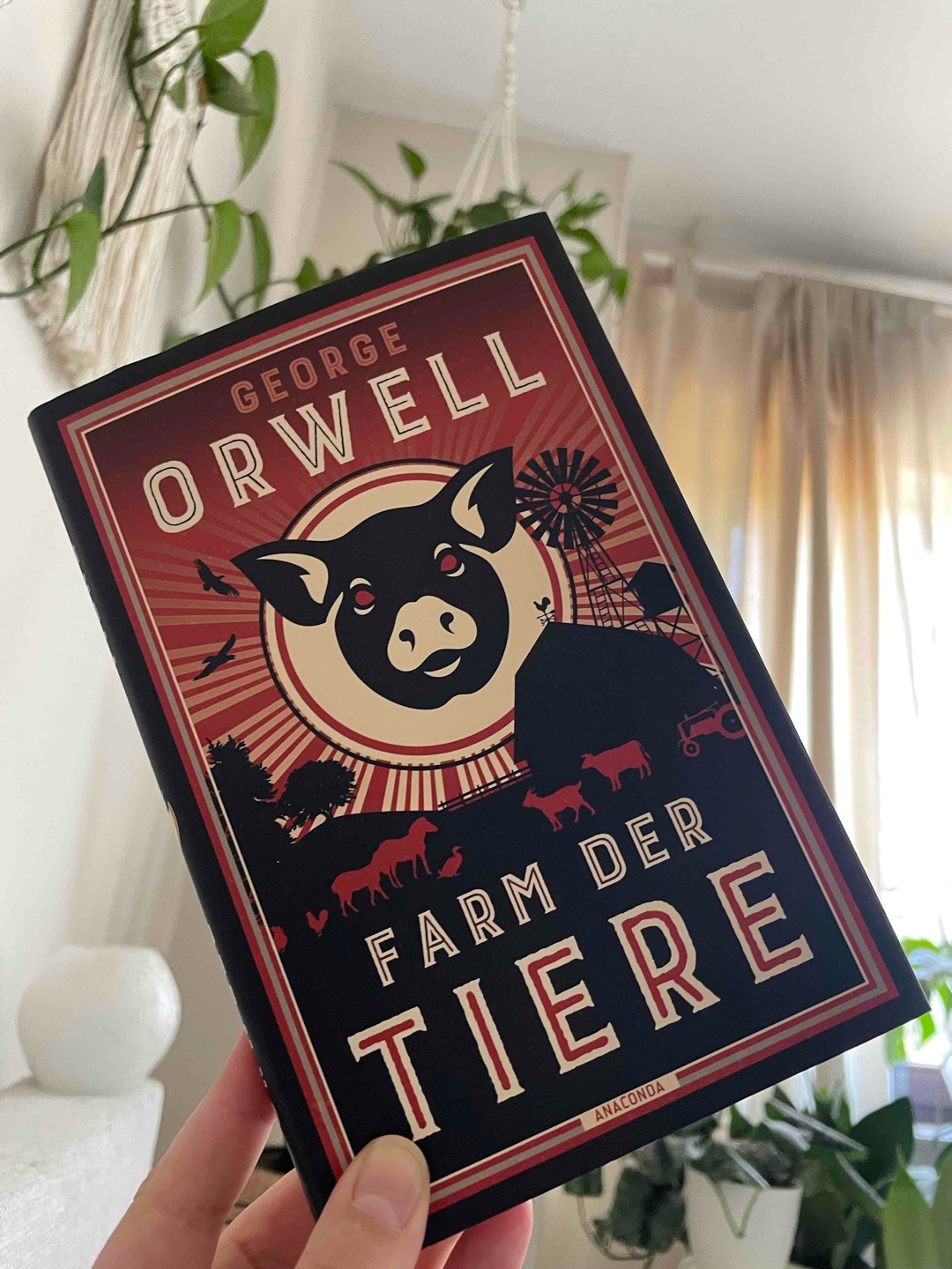 Dieses Buch sollte man unbedingt gelesen haben!