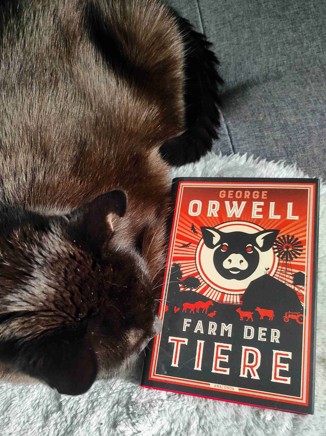„Alle Tiere sind gleich, aber manche sind gleicher. “
