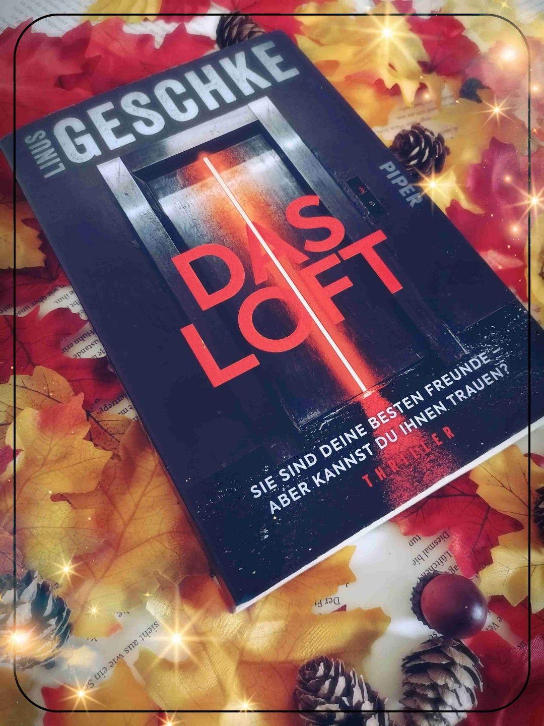 Die Geschichte ließ sich flüssig lesen. Es wurde aus drei verschiedenen Sichtweisen (Sarah, Marc, Polizei) geschrieben, was mir sehr gut gefallen hat.
Allerdings wurde ich mit keinem der Charaktere richtig warm, keiner war mir so richtig sympathisch und dennoch hat es der Autor geschafft, das ich Mitgefühl mit ihnen hatte.
Das Ende habe ich so nicht erwartet und hat mich sehr überrascht.
Das war mein erstes Buch von diesem Autor aber mit Sicherheit nicht das letzte.