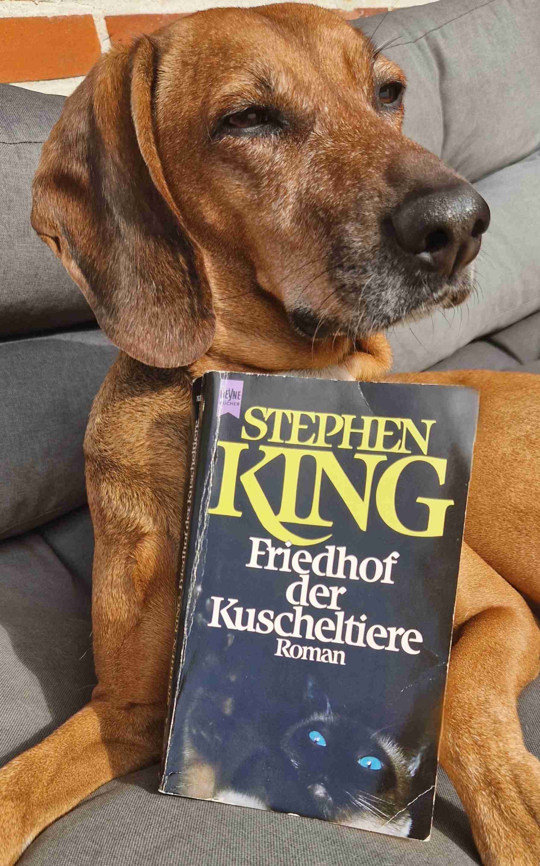 Manchmal ist der Tod besser ✝️💀