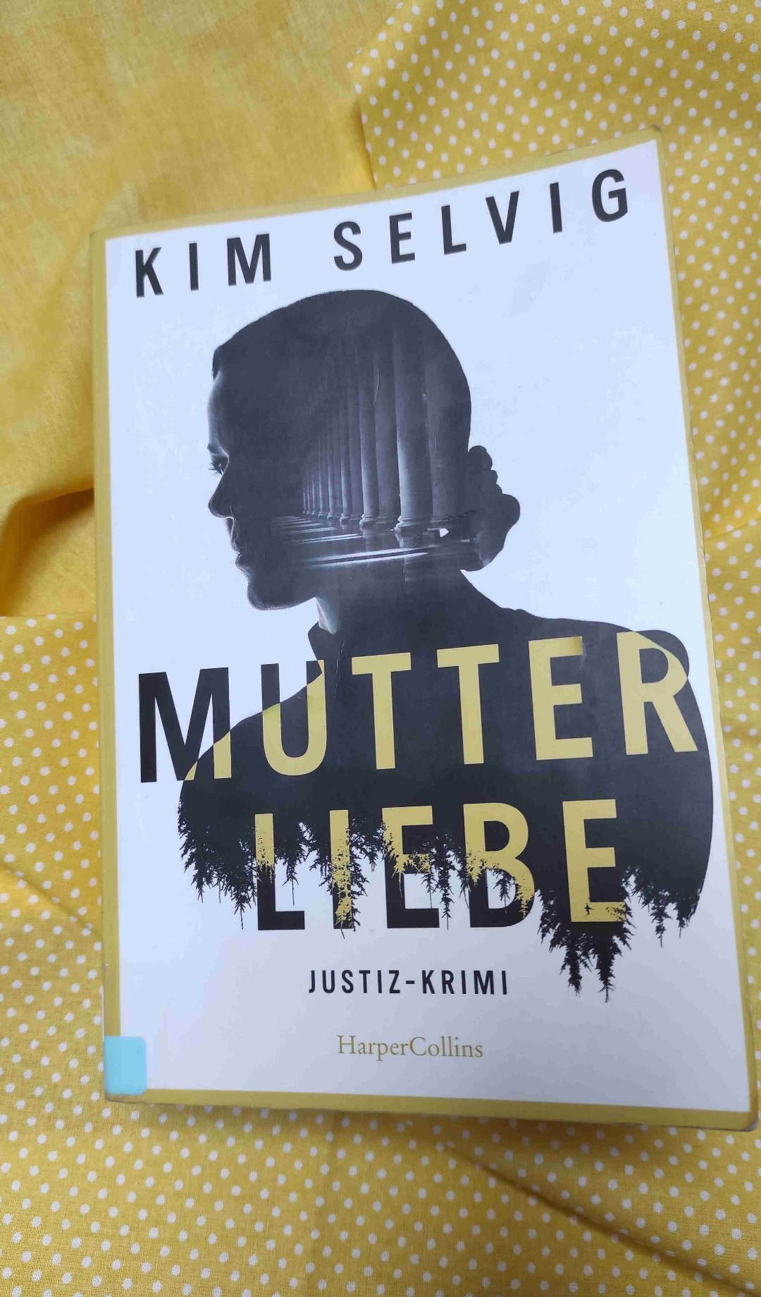 Mein erstes Buch in diesem Genre. Angesprochen hat mich hauptsächlich der Titel und das Cover.
Es war spannend zu lesen,jedoch zeitweise auch ein bisschen langatmig. Die Geschichte war gut und unterhaltsam. 
Ich denke,ich werde noch mehr Justizromane lesen .