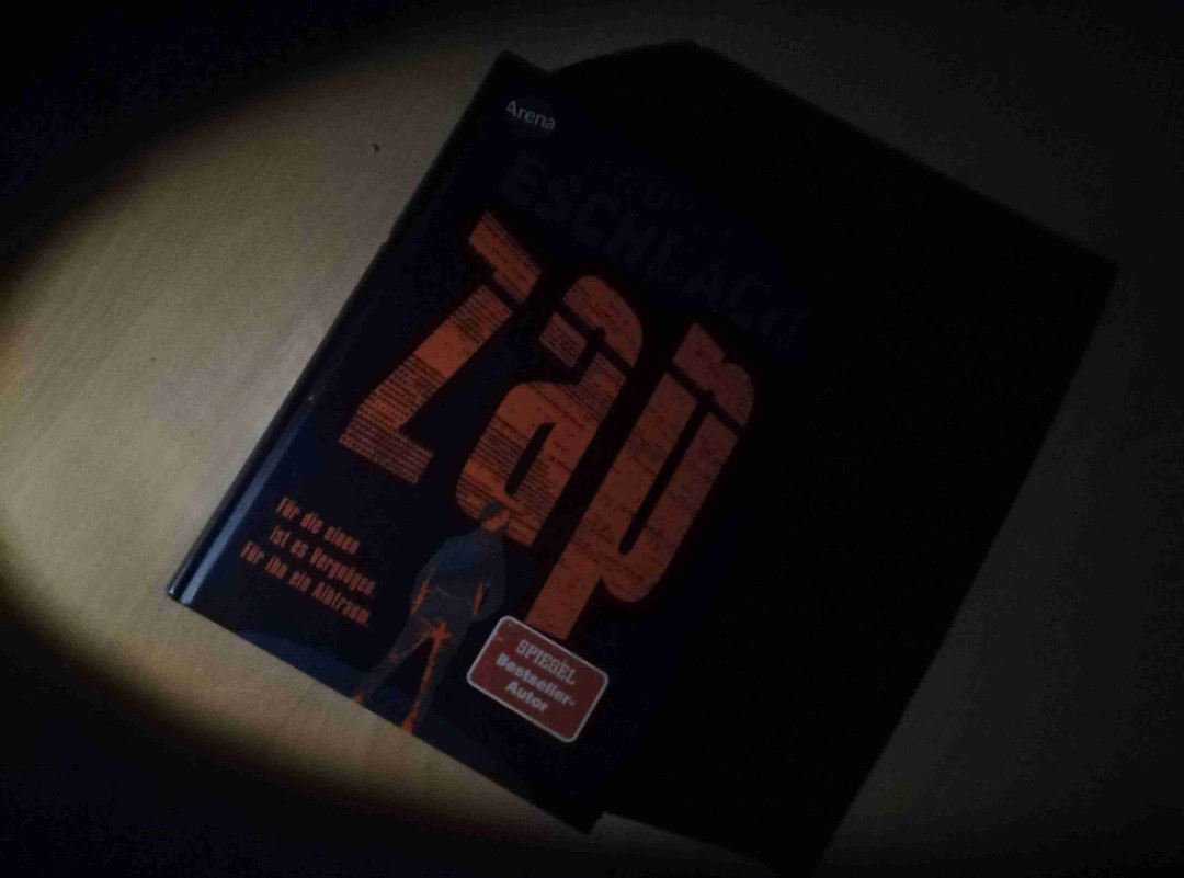 Ein sehr schönes Buch. Es schwebt perfekt zwischen Realität und Simulation.