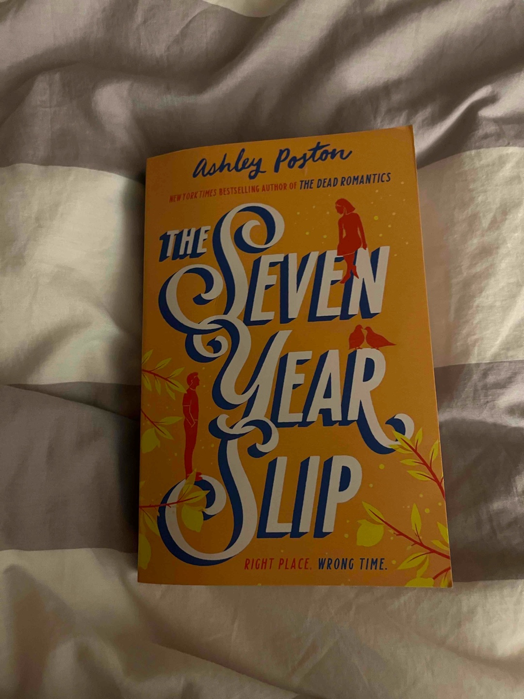 It was a really cute romantic story and I loved the characters 