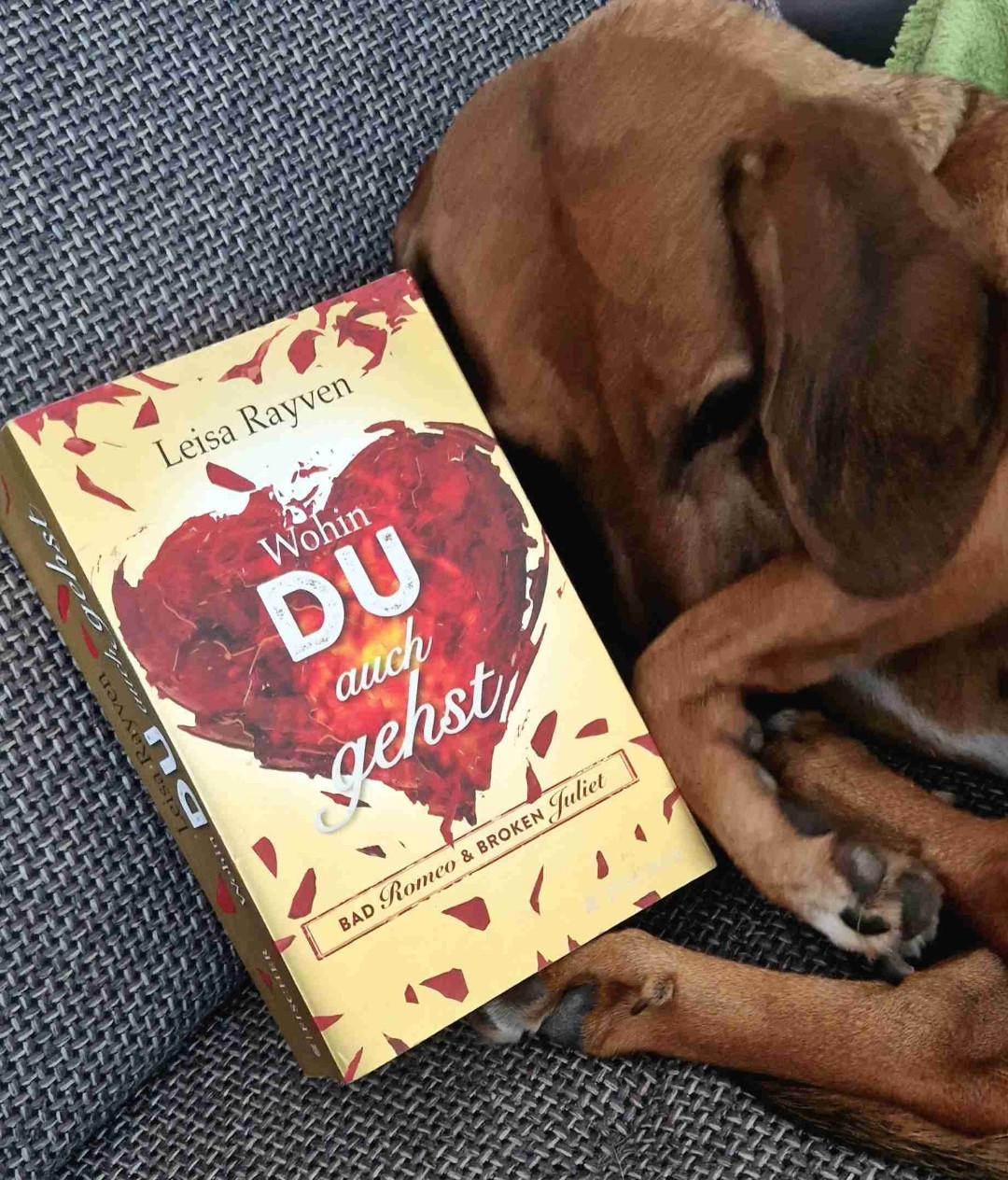 Ein Buch für Zwischendurch