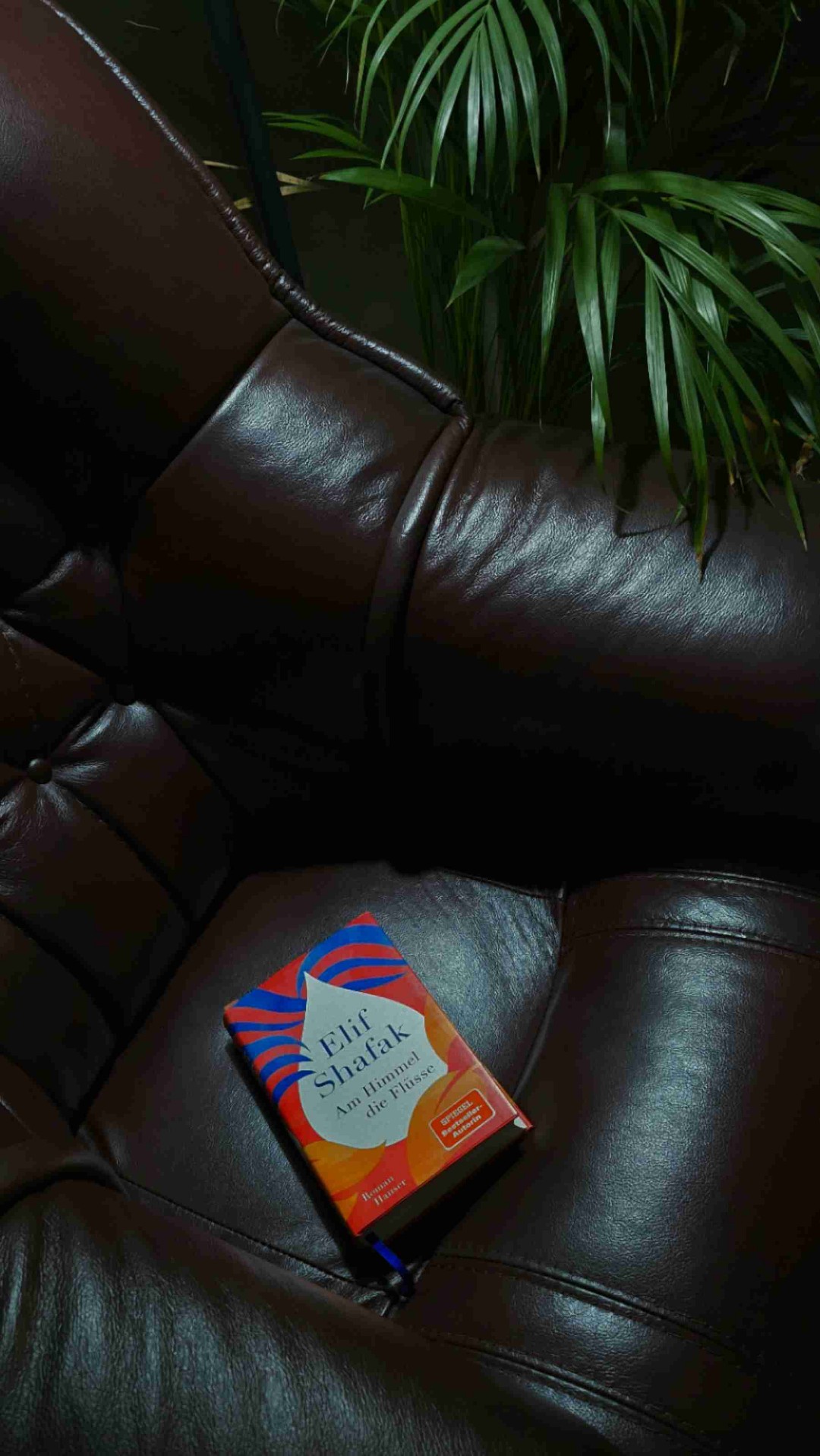 Mal wieder ganz begeistert von Elif Shafak