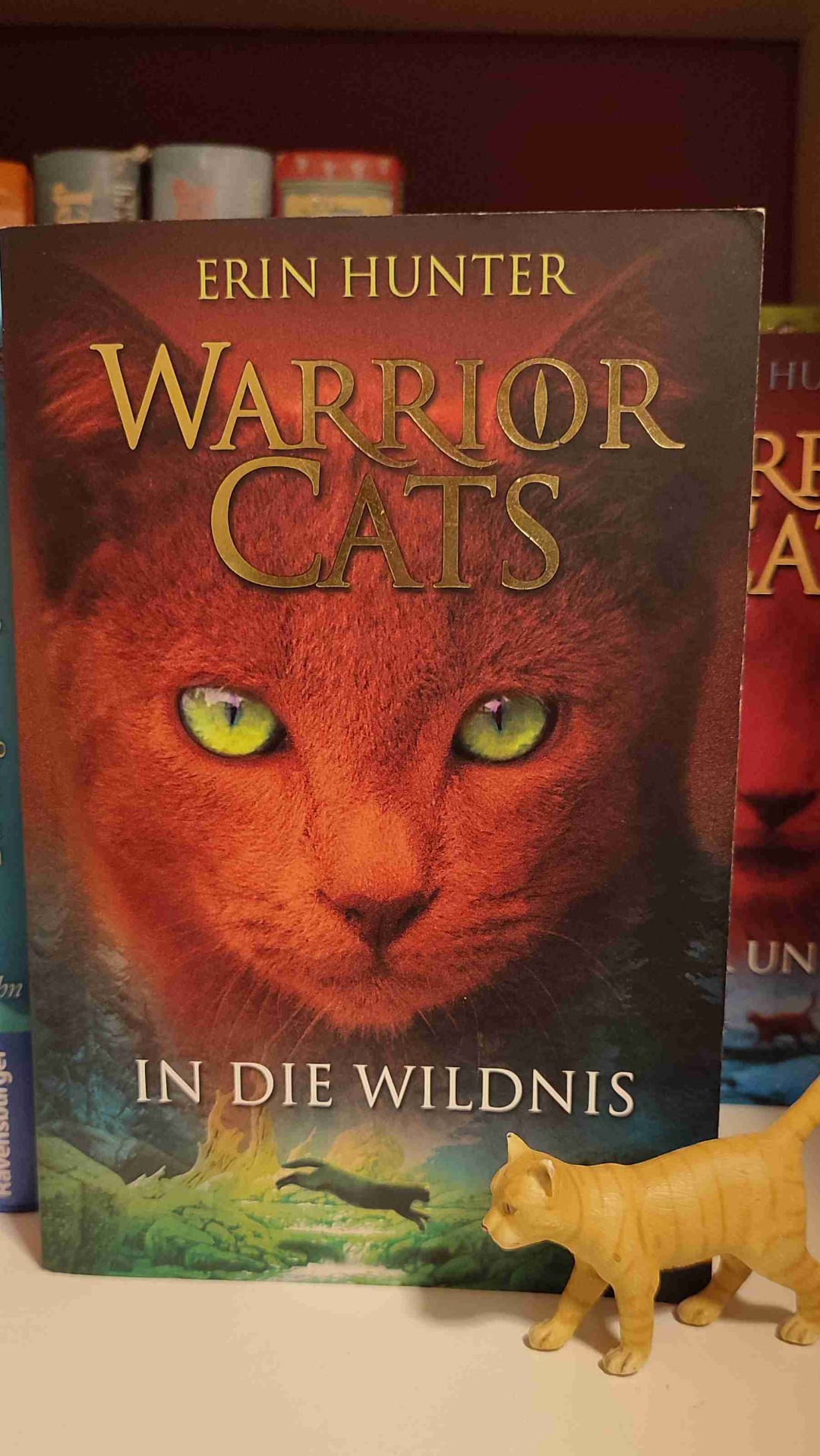 EMPFEHLUNG!!!! Das Buch ist super spannend und ich würde es jedem von euch empfehlen 💗