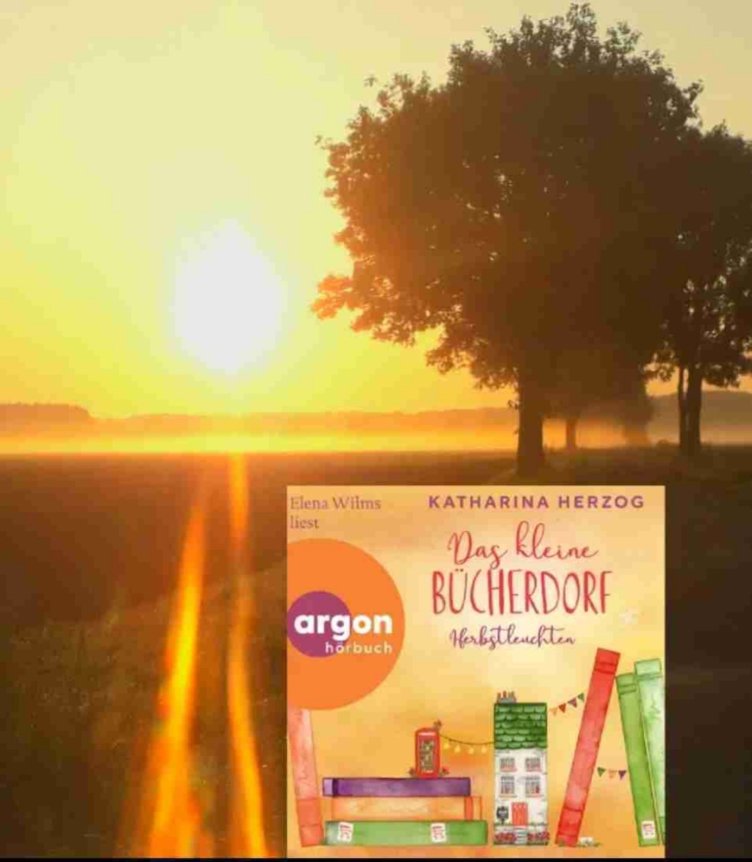 Ein tolles Hörbuch und ein schöner Wohlfühlroman 
