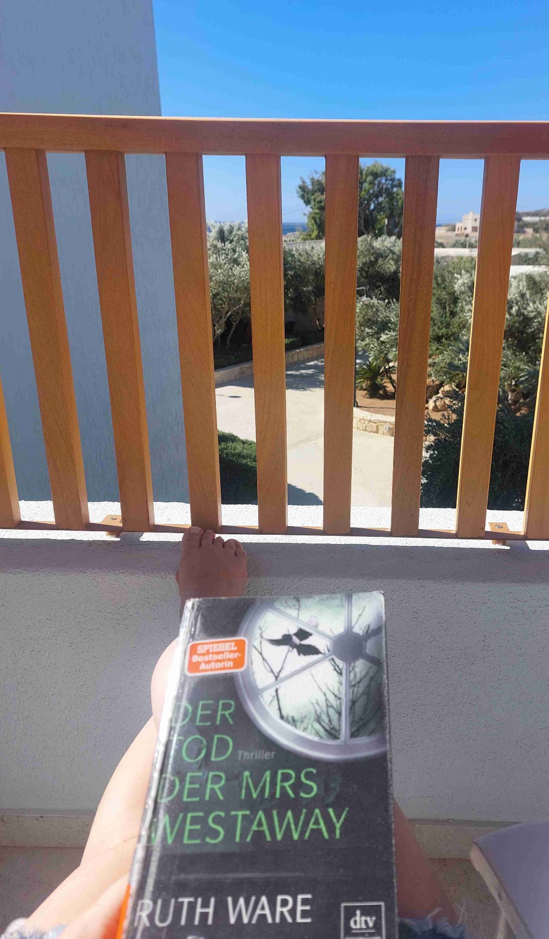 Nicht Wares bestes Buch, aber trotzdem ein guter Thriller 