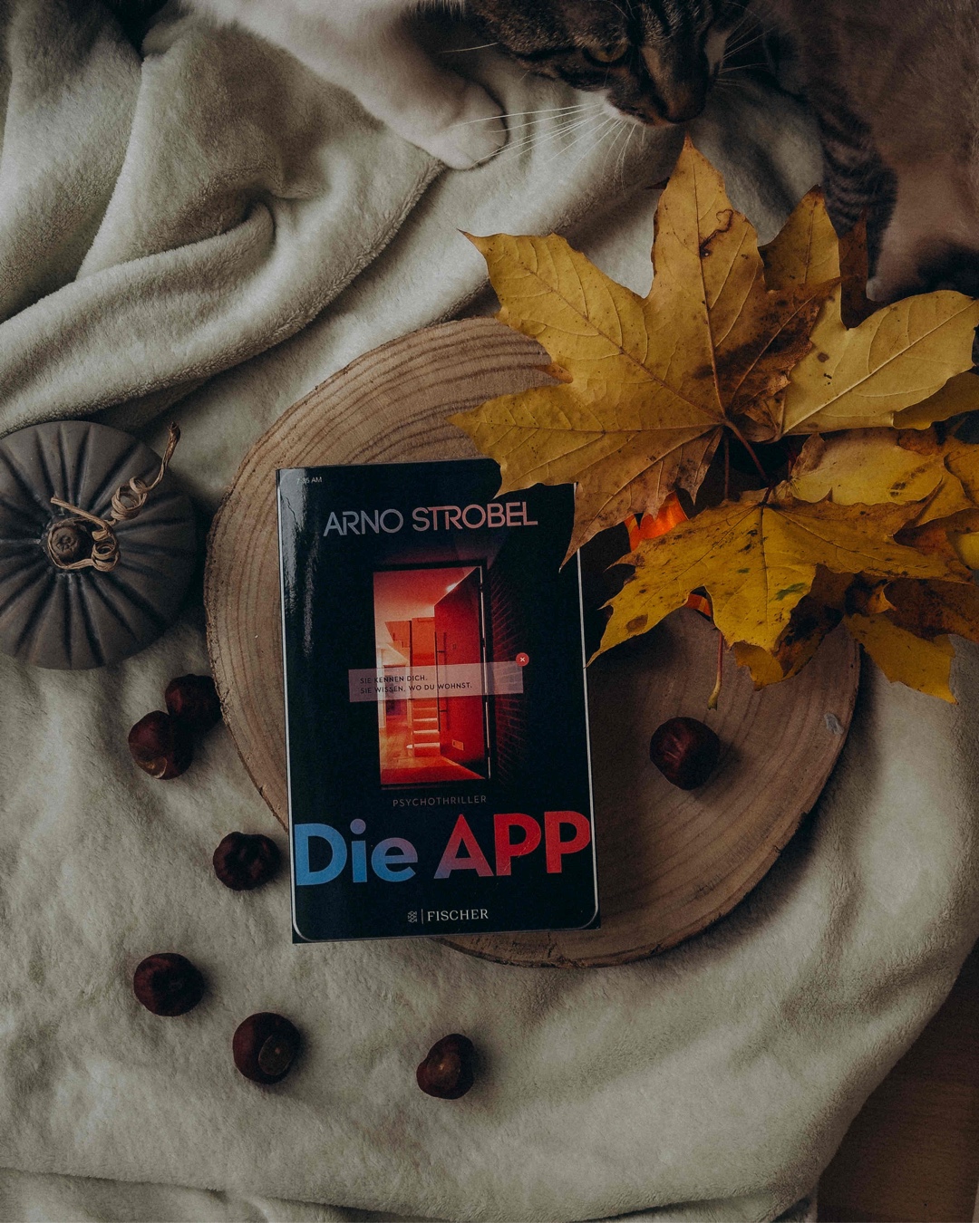 Eines der besten Krimi-Bücher, die ich je gelesen habe! 🤎