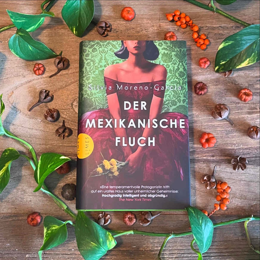 ⭐️⭐️⭐️⭐️⭐️+✨ 5/5 
📖 Seiten 416
📚 Gebundenes Buch mit Farbschnitt 