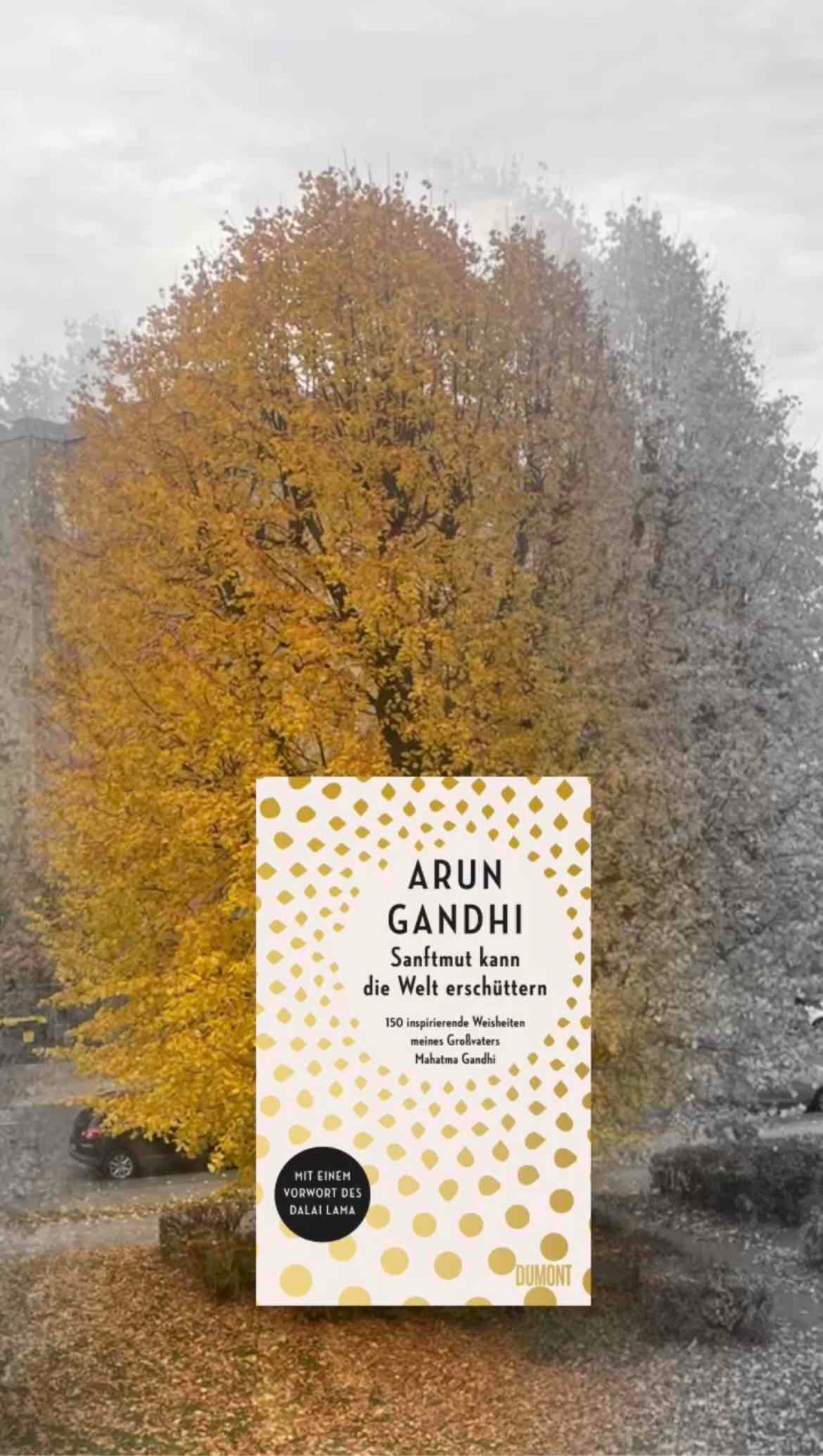 Gandhis Philosophie der Gewaltlosigkeit (Ahimsa)