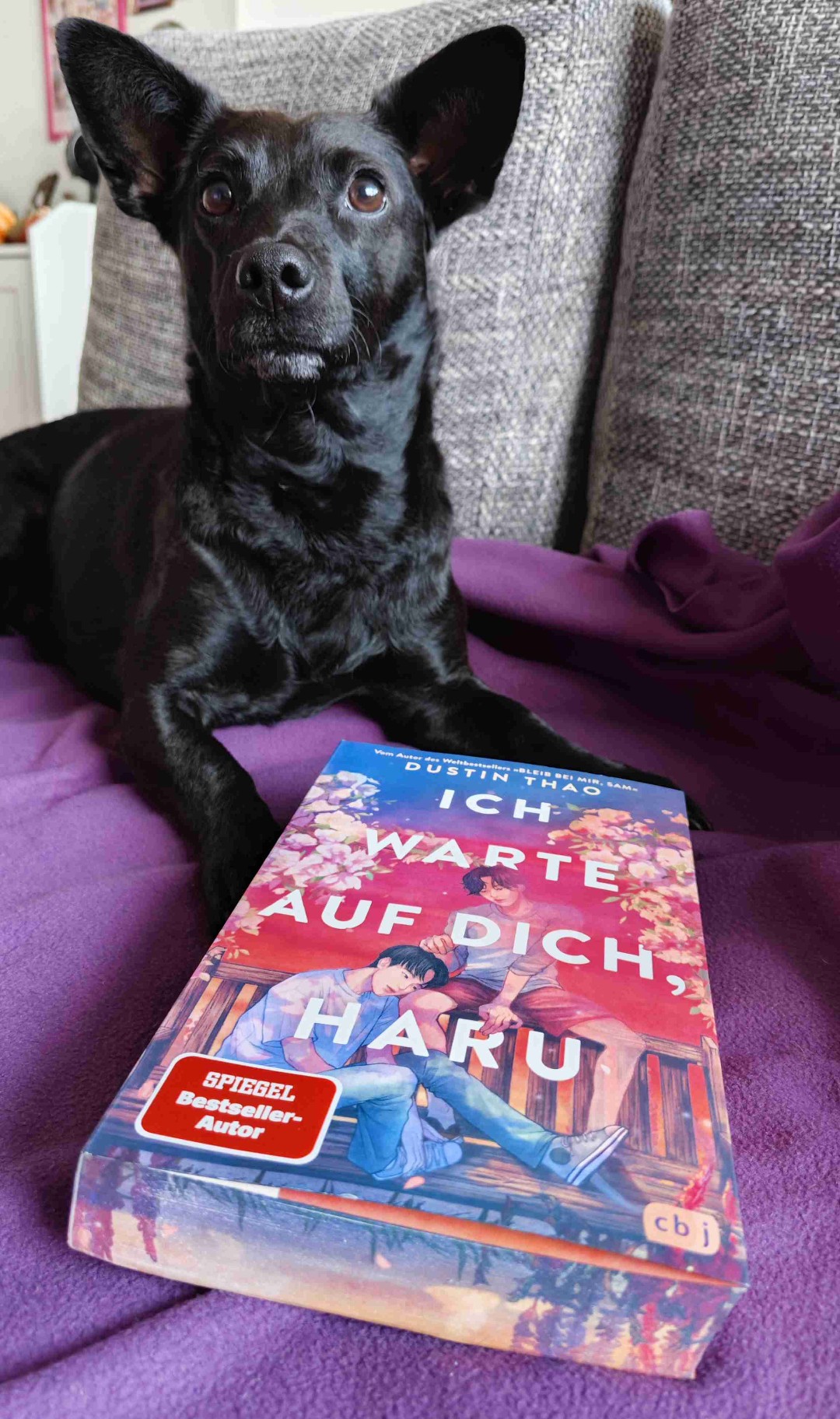Riesen Hype um wahnhafte Fantasien, dessen Finale als einziges gelungen ist.