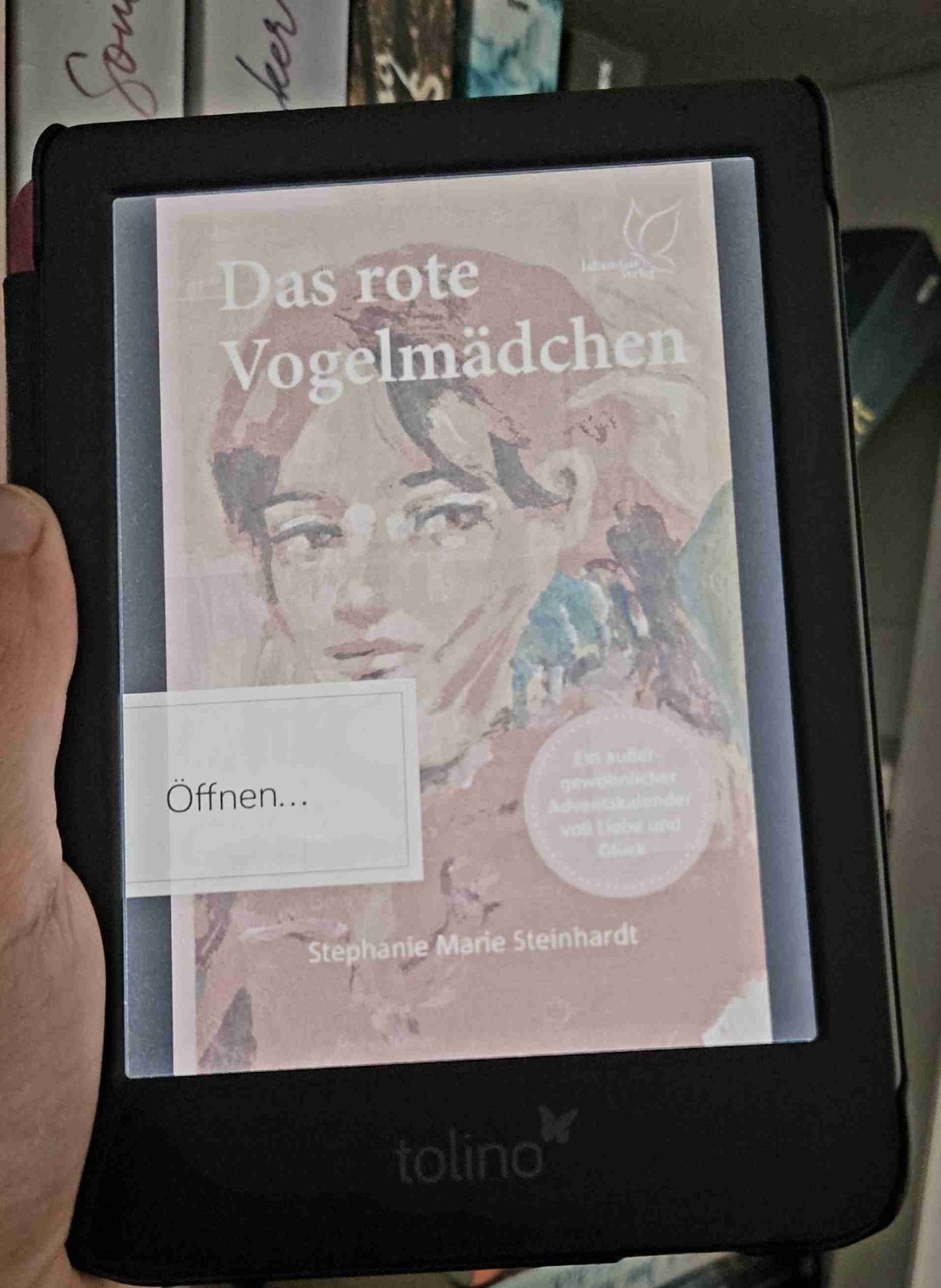 Ein tolles Adventskalenderbuch