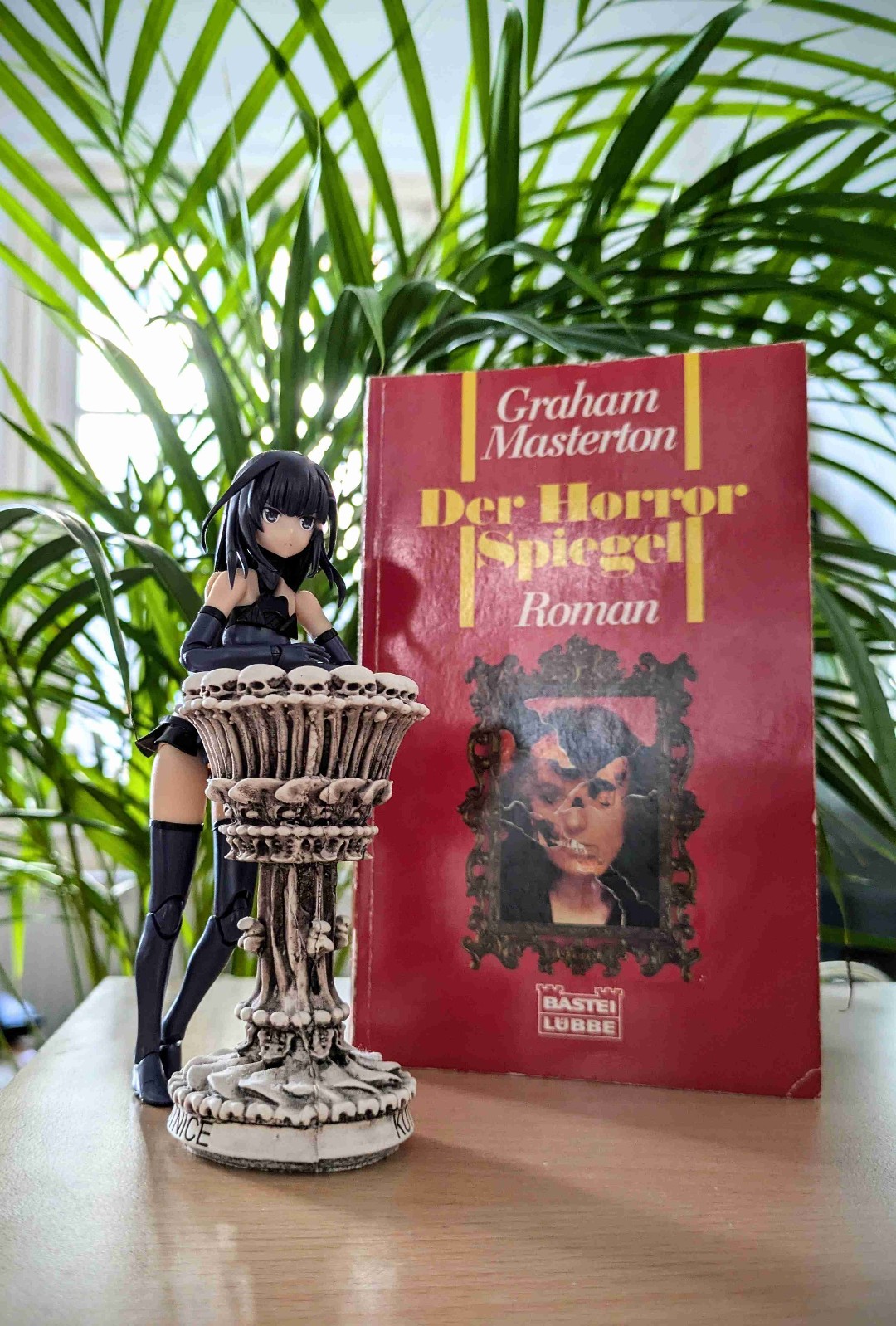 Ohne große Erwartung nahm ich das Buch zur Hand und bekam eine recht gute Horror-Geschichte.