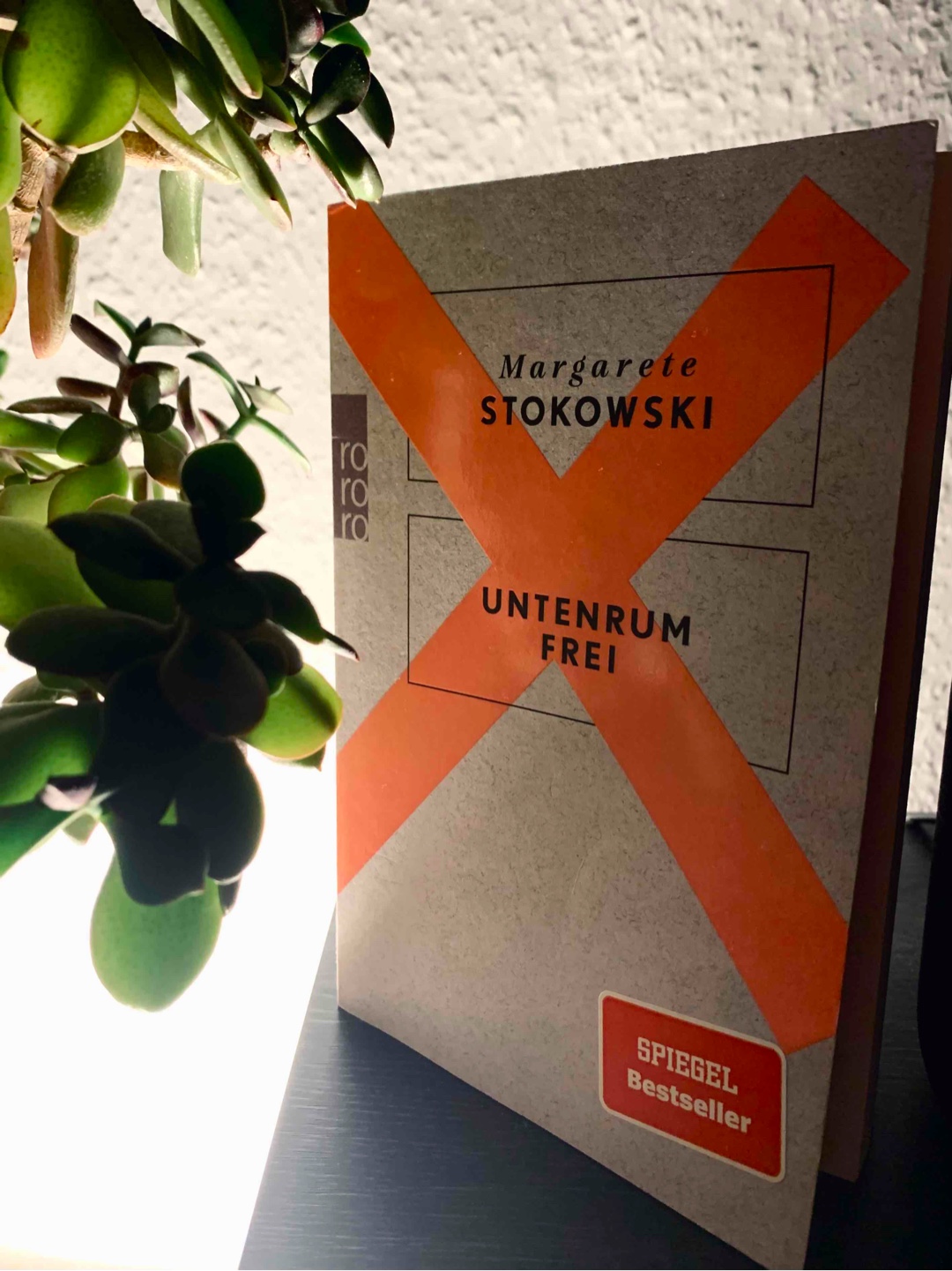 Gutes Buch über den Feminismus 