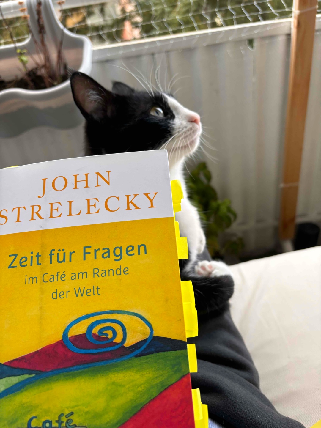 Mal wieder ein super Buch!🙏🏻