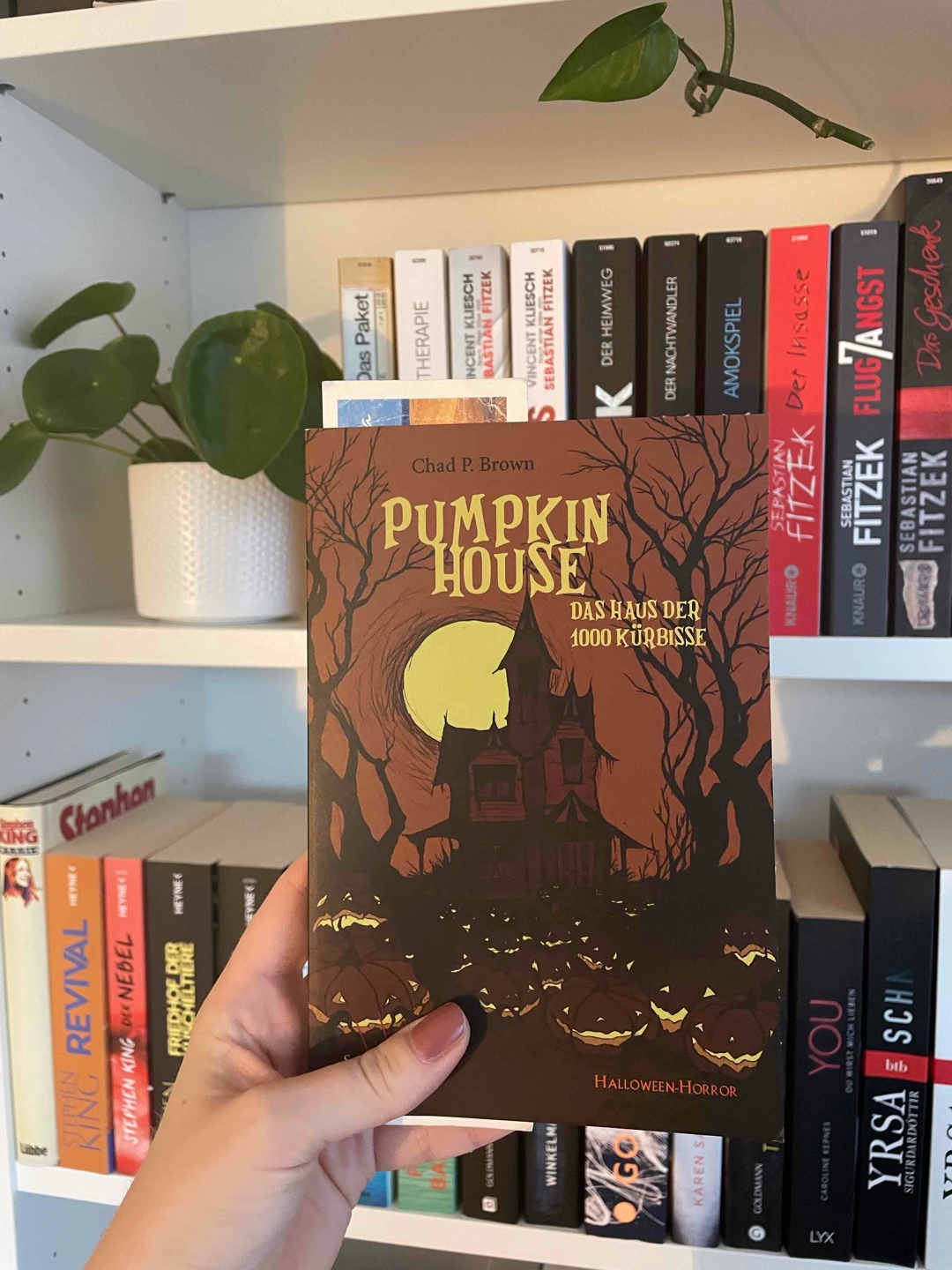 Gute Halloween Story 🎃🦇