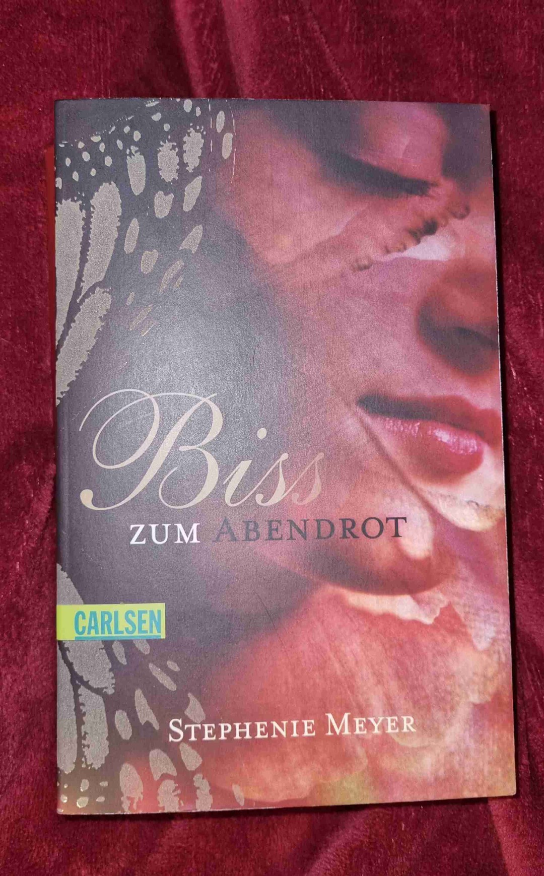 Für die Nostalgie gibt es 4 Sterne. Für das Hin und Her zwischen Jakob und Edward einen Stern abzug. Das hat mich zeitweise ziemlich genervt.