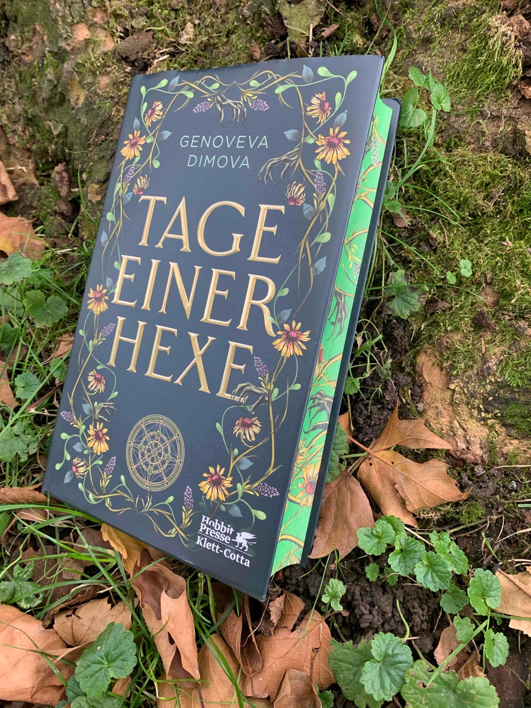 Die schmutzigen Tage