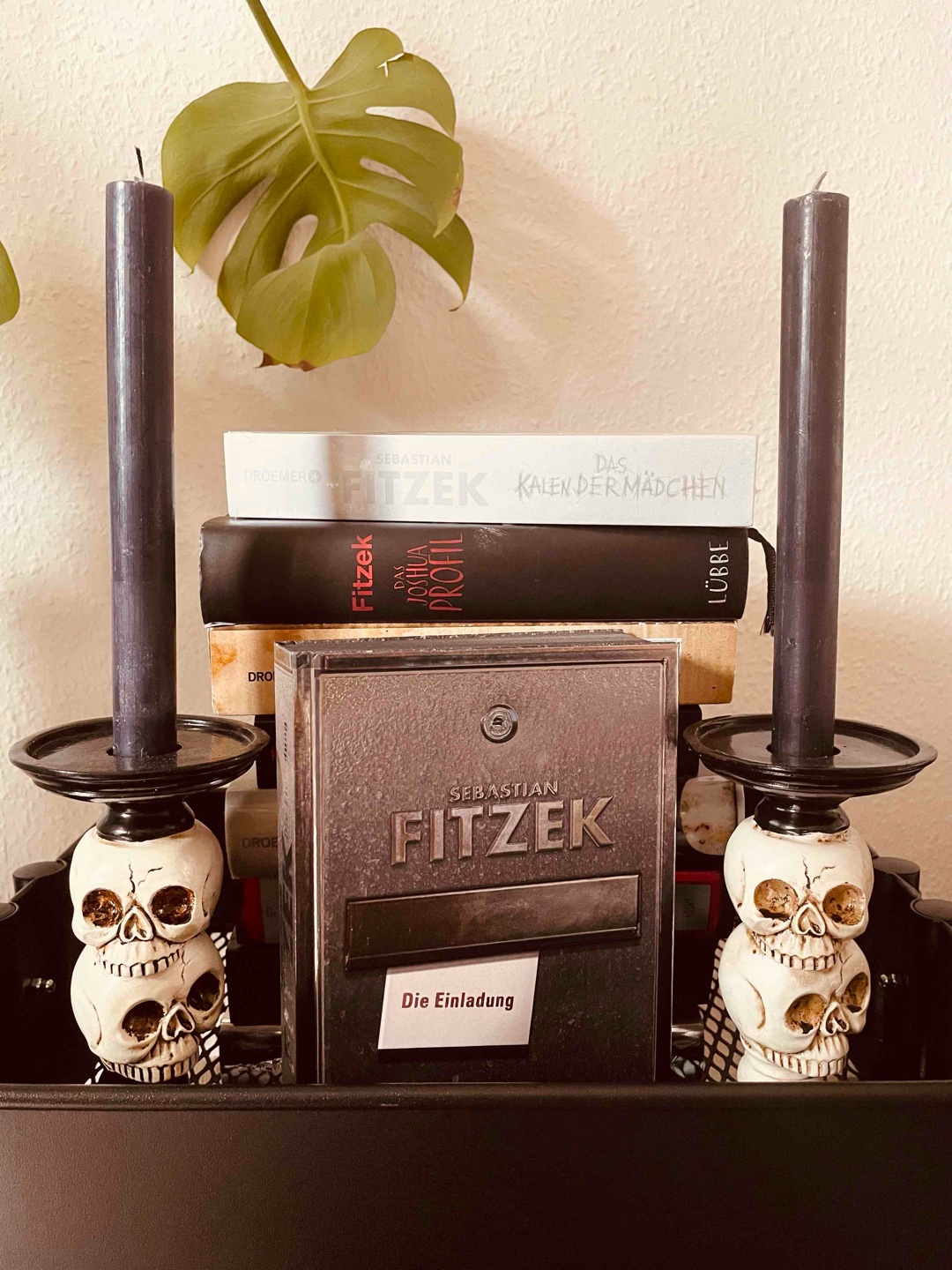 Wieder ein geniales Werk von S. Fitzek 😳
