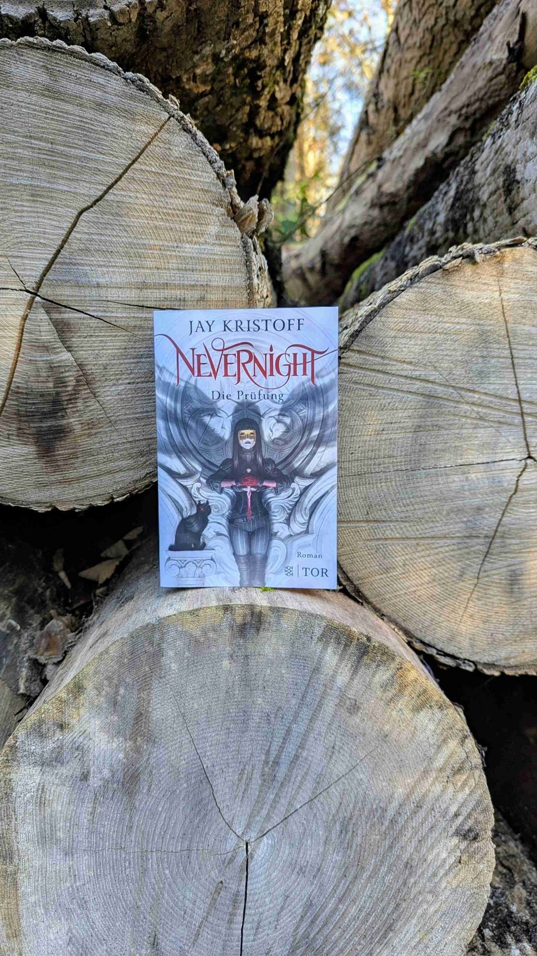 Solide und dunkle Fantasy, absolut empfehlenswert!