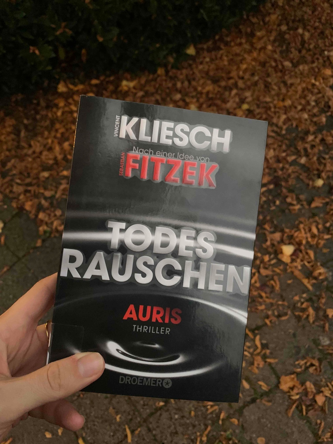 Spannende Fortsetzung!🔊