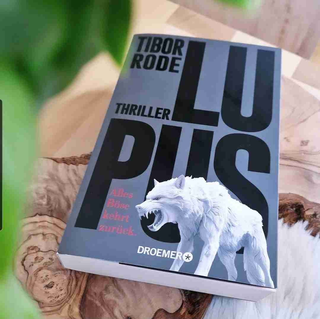 Toller Thriller mit aktuellen Themen. Absolut lesenswert!