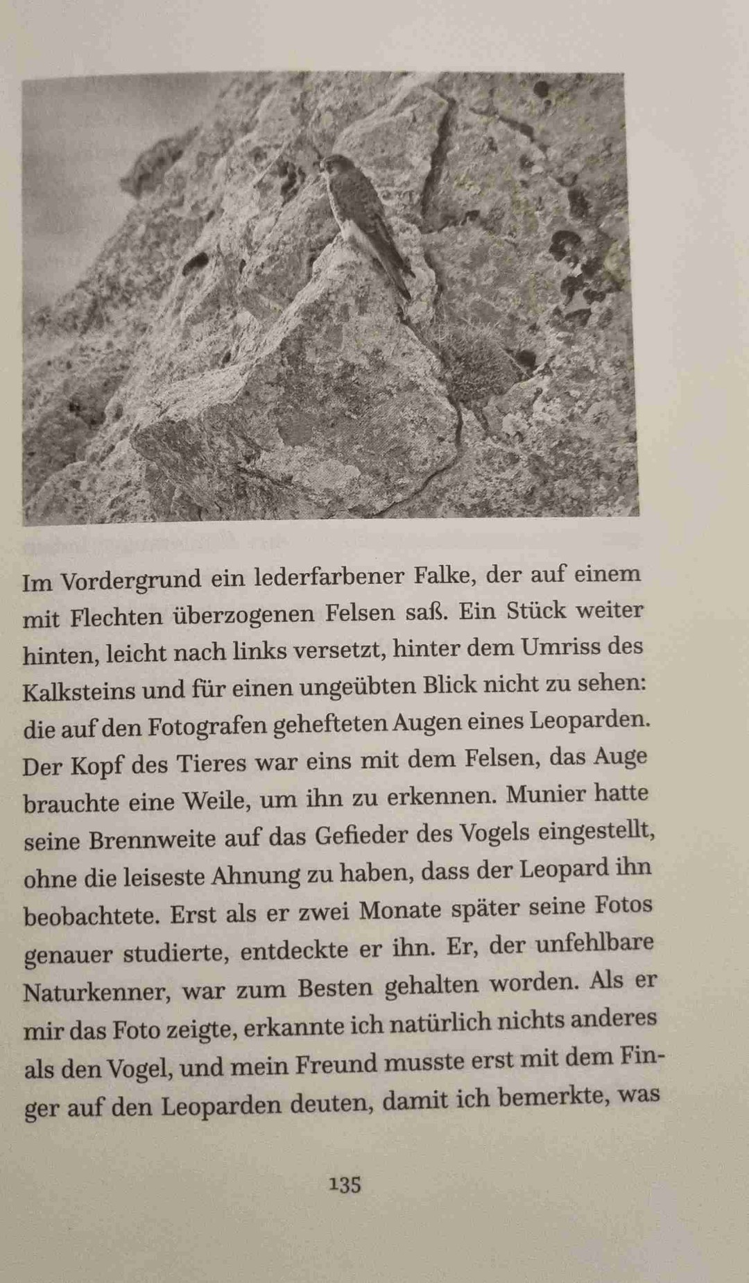 Ein Buch über das Warten, die Lauer. Mit eingestreuten Weisheiten aus dem Daodejing. Zwischendurch war es mir schon zu poetisch, was aber wahrscheinlich daran lag, dass ich an den Stellen die Ansichten des Autors nicht teilte oder nachvollziehen konnte. Ansonsten hat das Buch meine Erwartungen übertroffen.