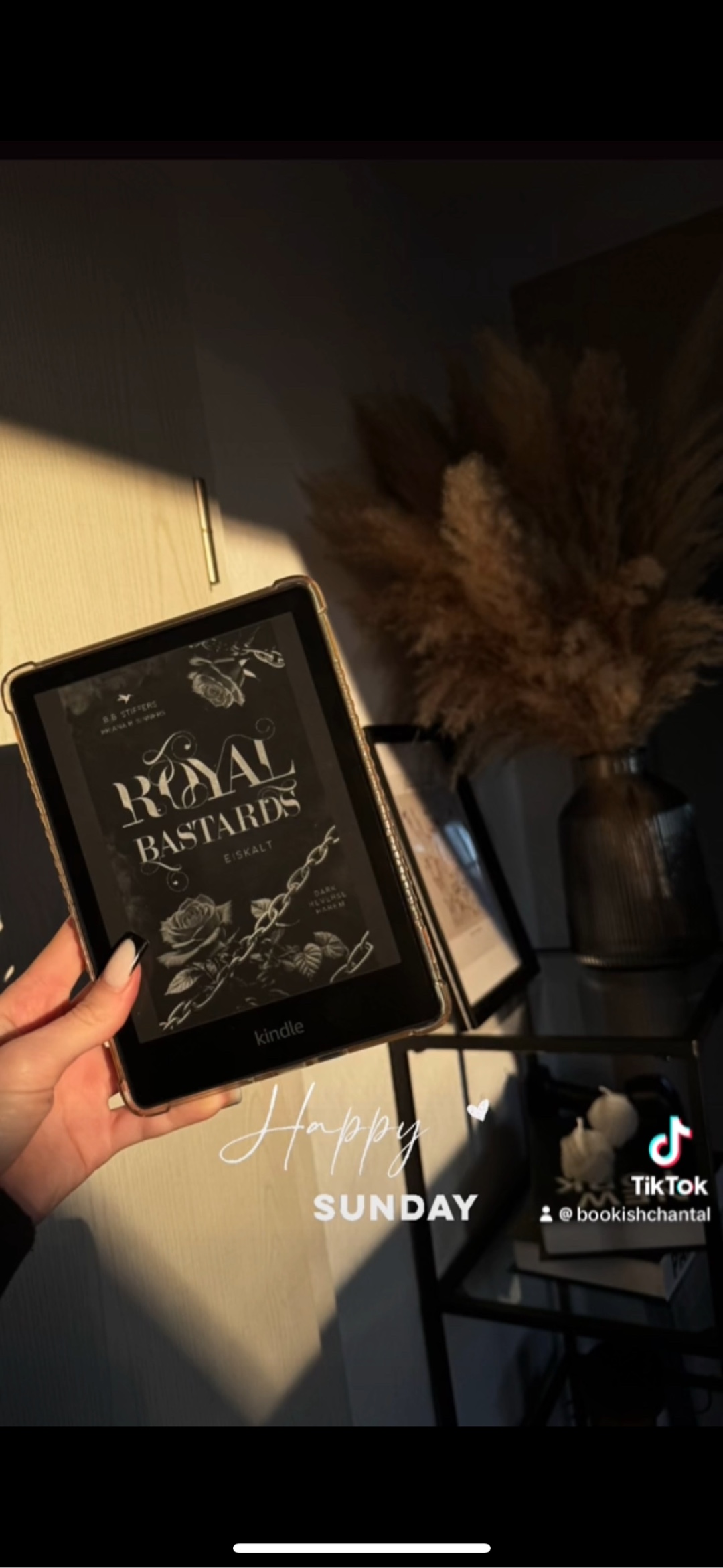 Absolutes 5+ ⭐️ Buch !!! Man muss die Tropes mögen und viel spice !!🌶️🌶️🌶️