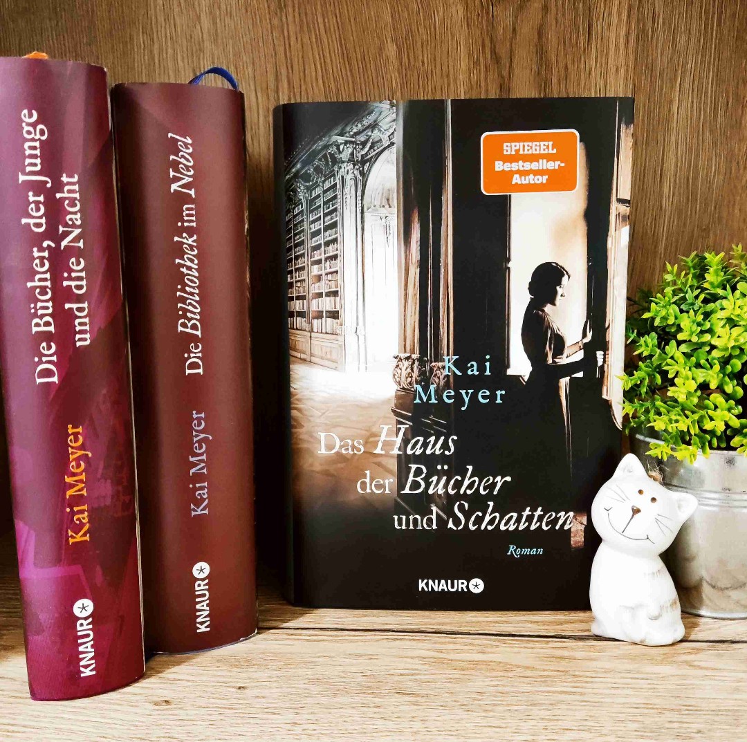 „Das Haus der Bücher und Schatten“ ist ein Roman mit atmosphärischer Tiefe, besonders im historischen Setting, das sich wie ein Netz von Geheimnissen entfaltet.
