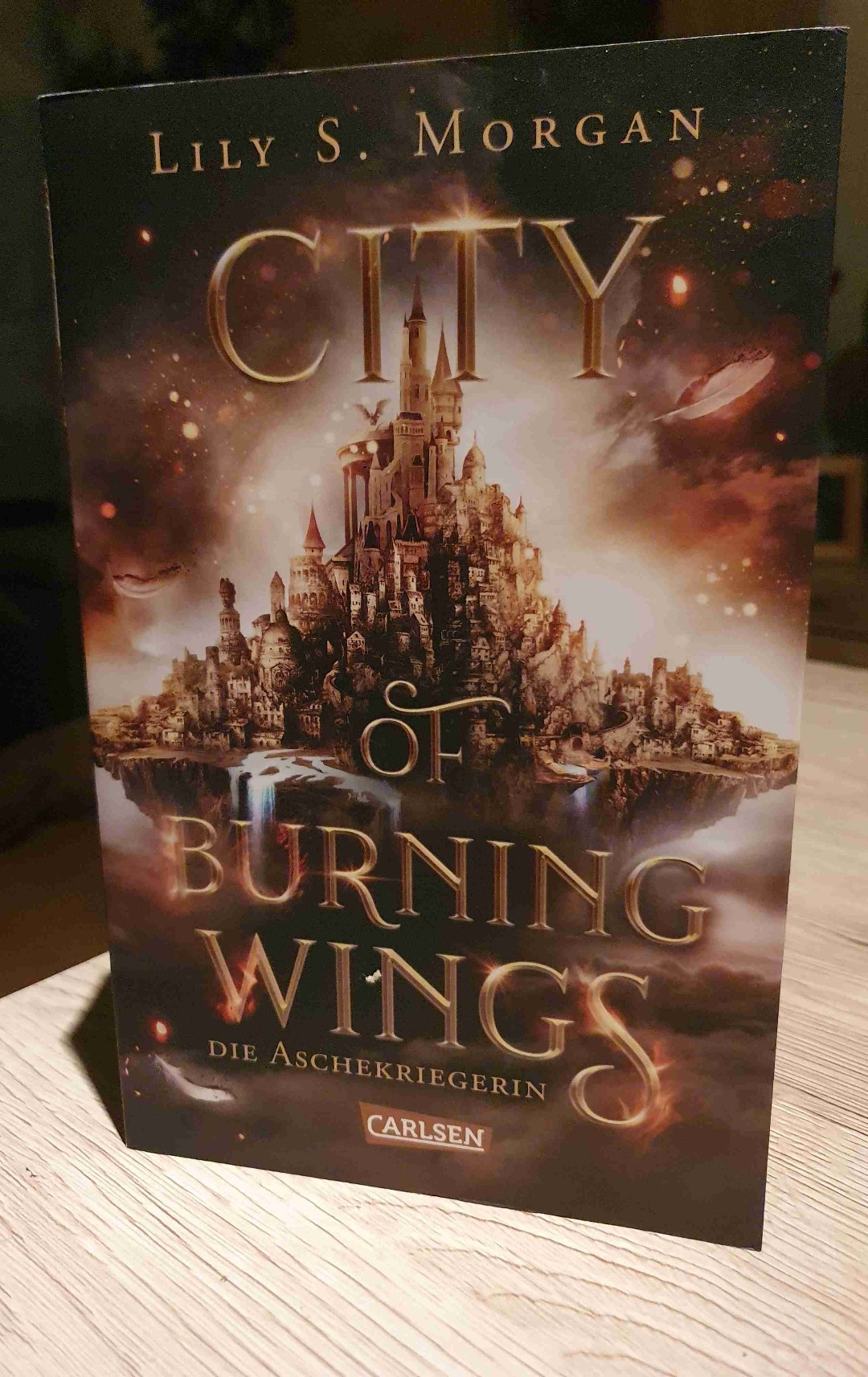 Ich bin etwas unschlüssig. Ich habe verhältnismäßig lange gebraucht für dieses Buch. Auch durch nicht so viel Zeit, aber hauptsächlich, weil ich echt kaum Lust hatte zu lesen, weil es mich nicht gepackt hat. Insgesamt war es okay, aber eben wirklich nichts, was mich richtig abgeholt hat.