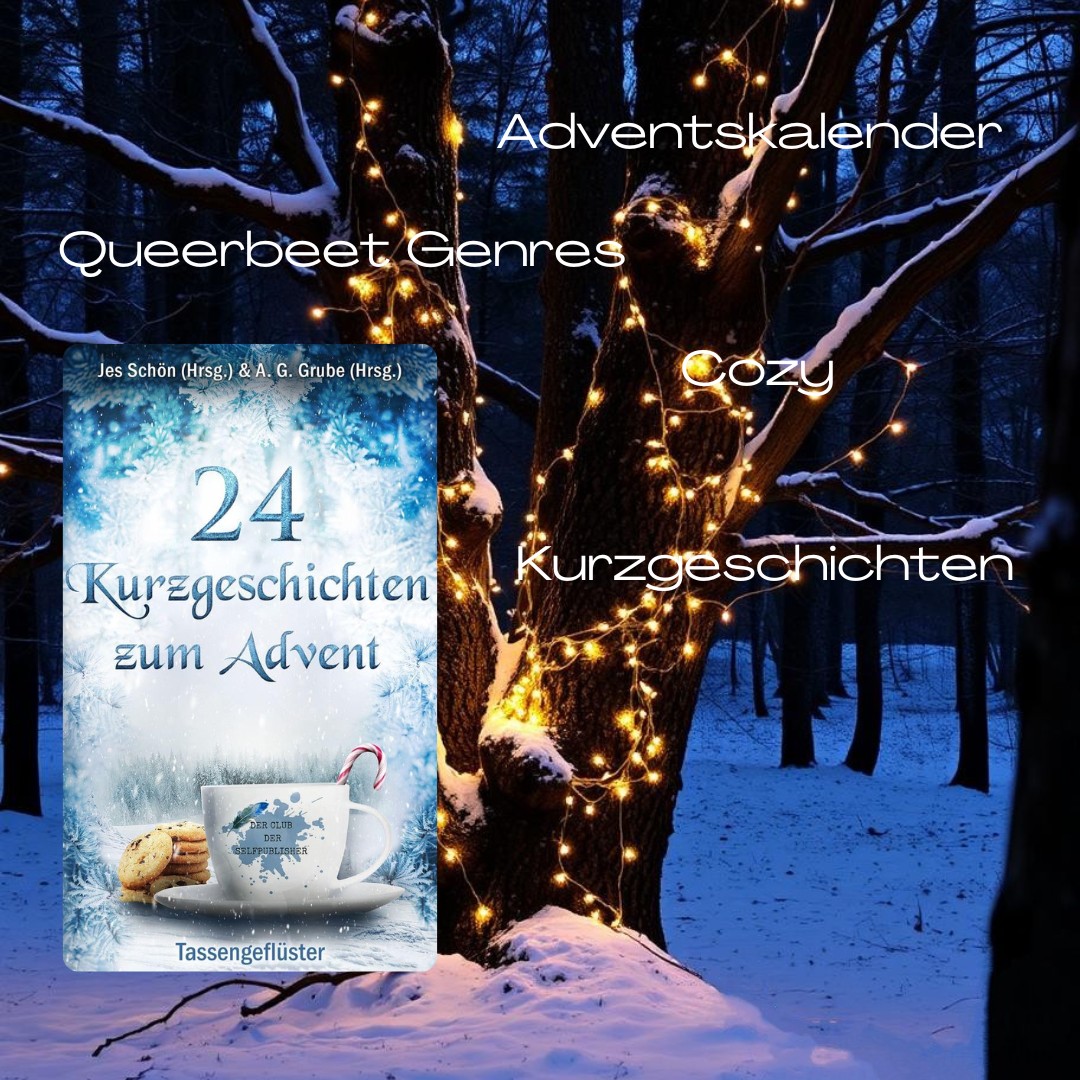 Cozy Adventskalenderbuch mit tollen, abwechslungsreichen Geschichten ❄️